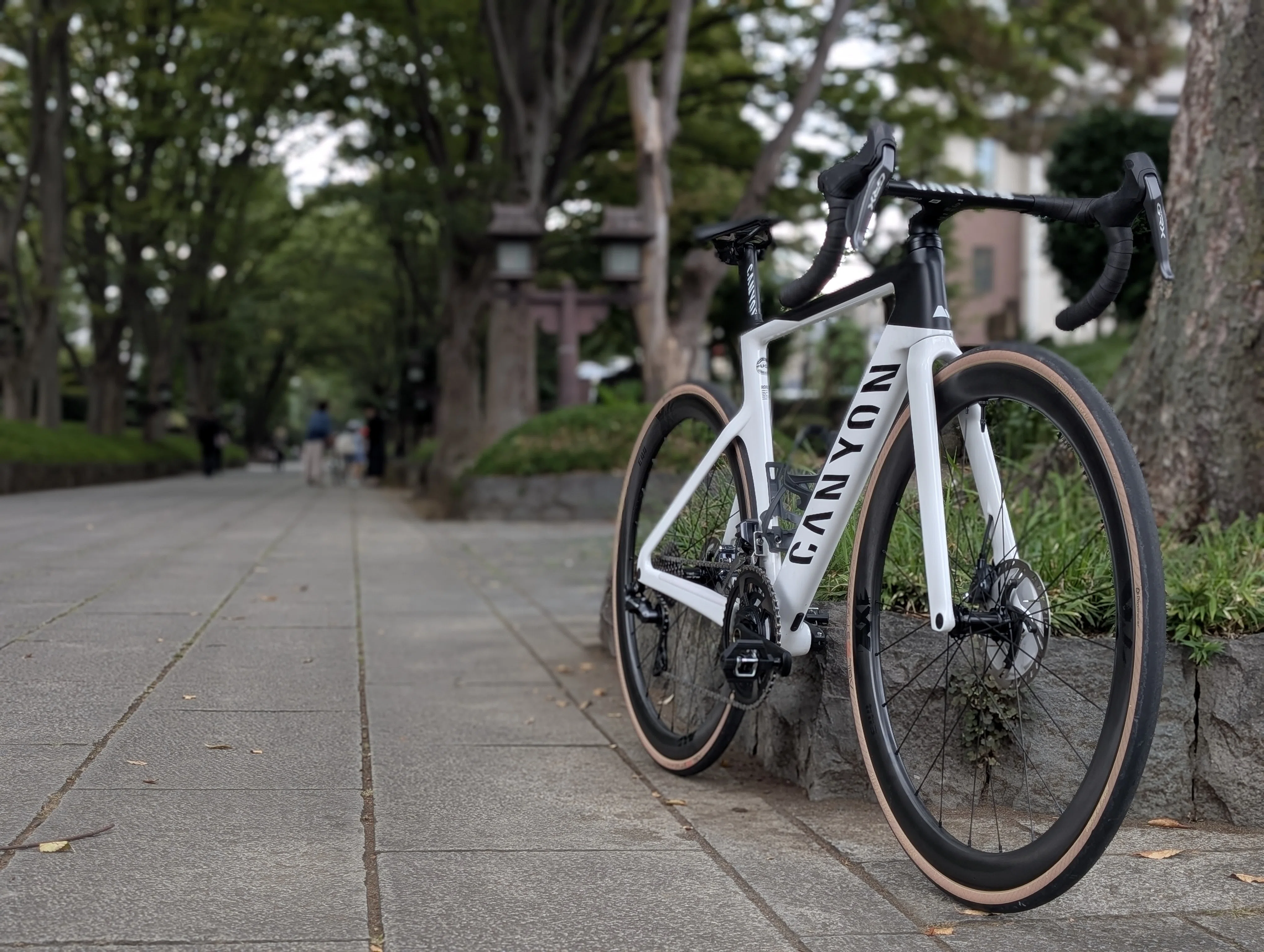 空気を切り裂け！Canyon Aeroad CF SLX、風と戯れる冒険の先に
