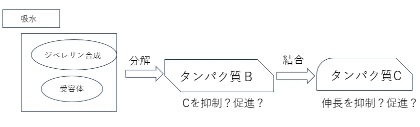 2024年10月実施 第3回東大本番レベル模試 スタッフによる所感【生物