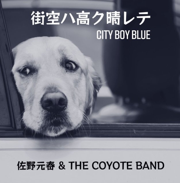 佐野元春 & ザ•コヨーテバンド ENTERTAINMENT！｜bluebeat