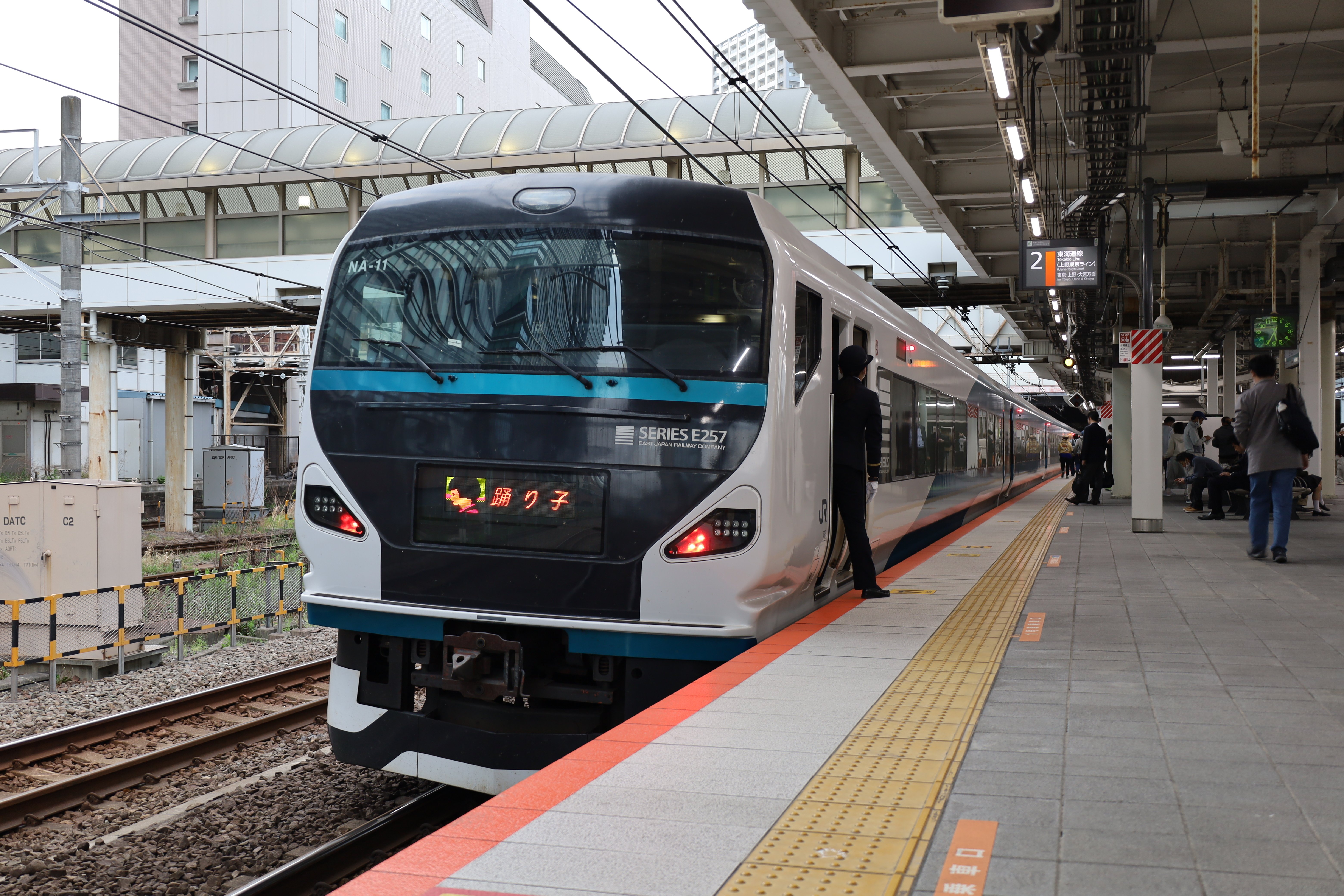 2024～2025年JR東日本冬の臨時列車 注目列車まとめ｜サロベツ企画