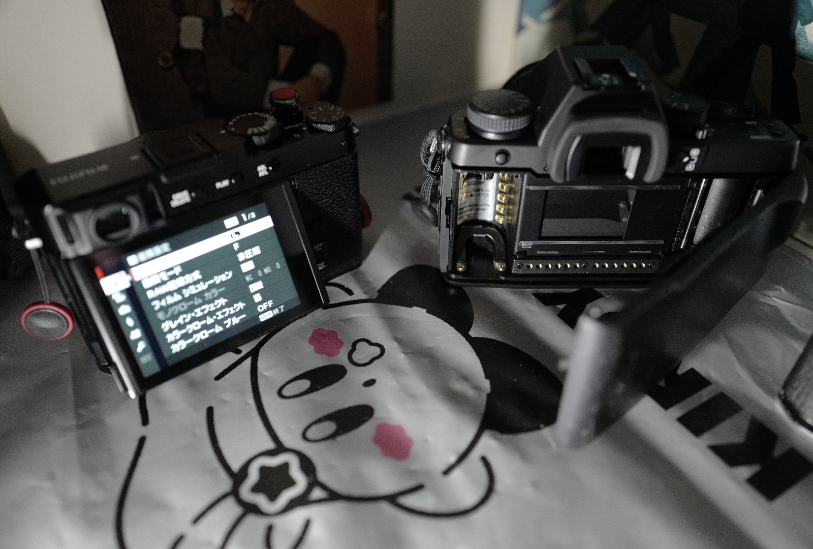 53 🎞️📷 フィルムカメラとデジタルカメラでは何が違うのだろうか、と