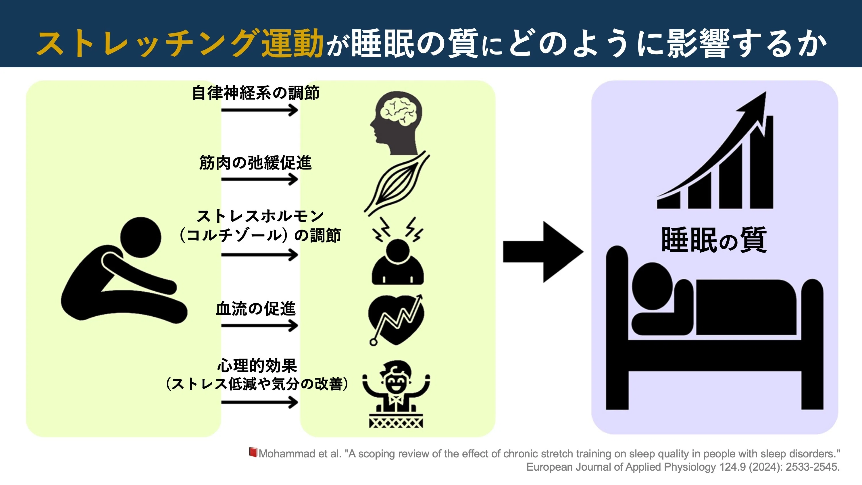 ストレッチ × 睡眠改善｜Super Human | 理学療法士／保健学博士 Ph.D