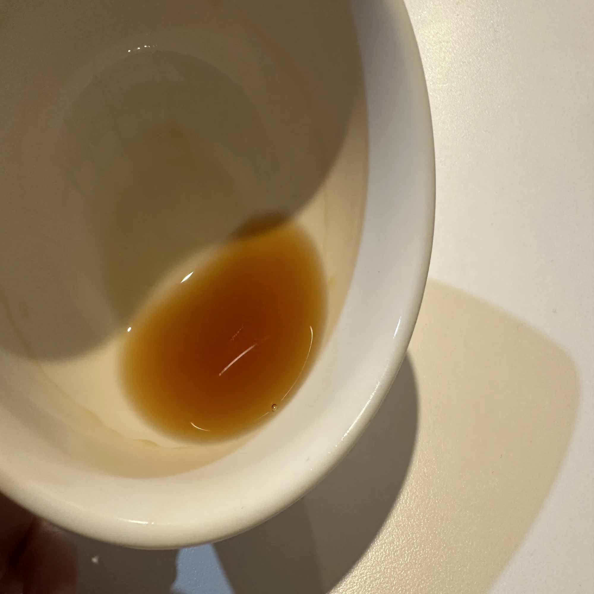 エストニアの伝統的な飲み物 VANA TALLINNとKALI｜旅して暮らす｜たびくら