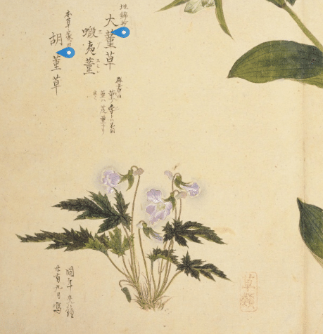 三日雨むくつと起る菫かな 夏目漱石の俳句をどう読むか165｜小林