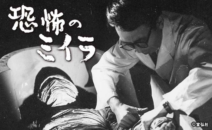 【日本製】 セル画 「パーマン」初代白黒 （2024年07月 - ニュース一覧 セル画