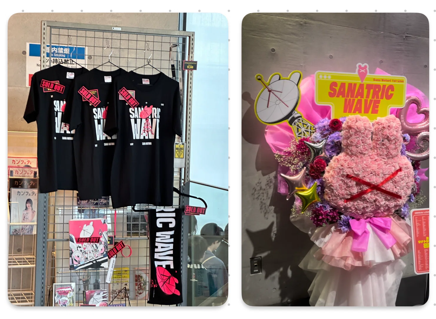 心に残る。名取さな1st Live「サナトリック・ウェーブ」から帰りました