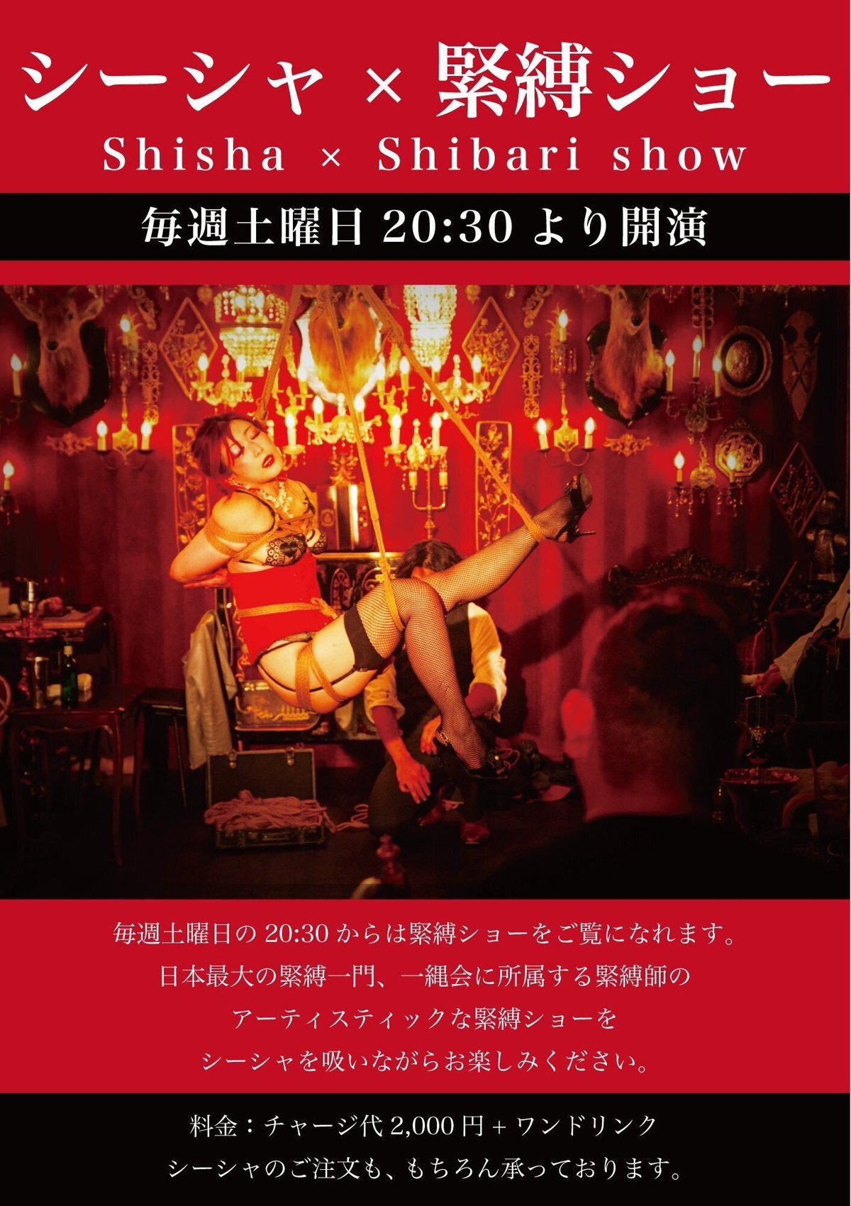 緊縛 Shisha Bar La vie en Rose 緊縛ショー(2024/5/25, 2024/8/17, 2024/10/5) 〜緊縛 ショー振り返り｜鷹(よう)