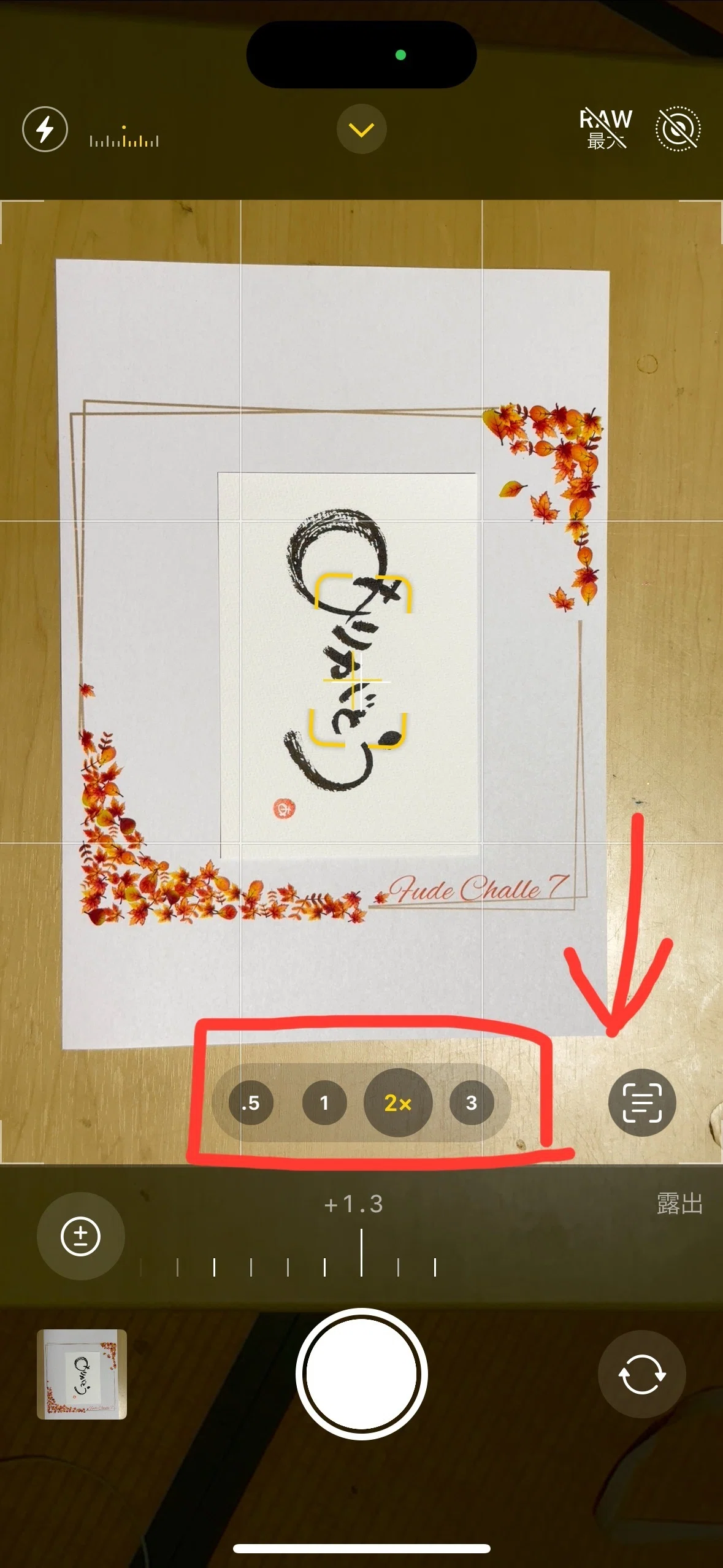 縦のラインの写真を載せました。｜レディース