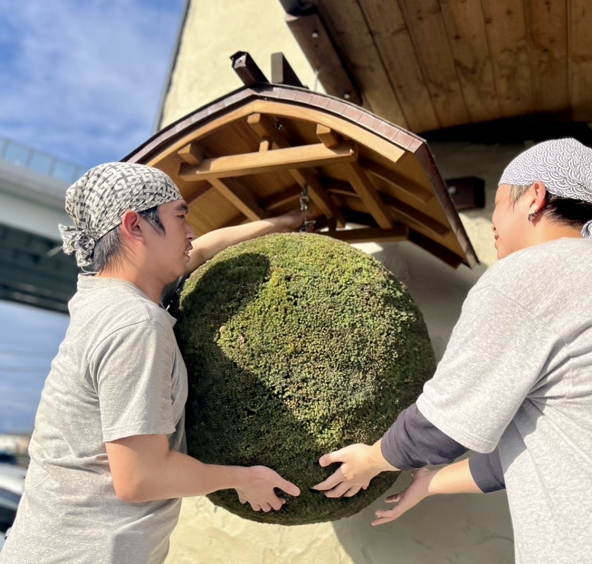 米えにしの軒先にある丸い玉「杉玉」（すぎだま）｜お知らせ