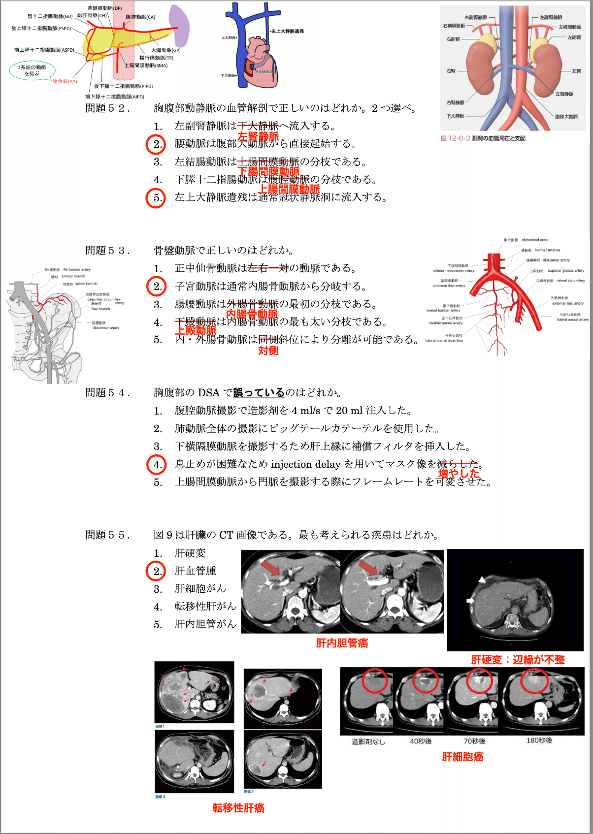 IVR認定技師試験 過去問の解答と解説