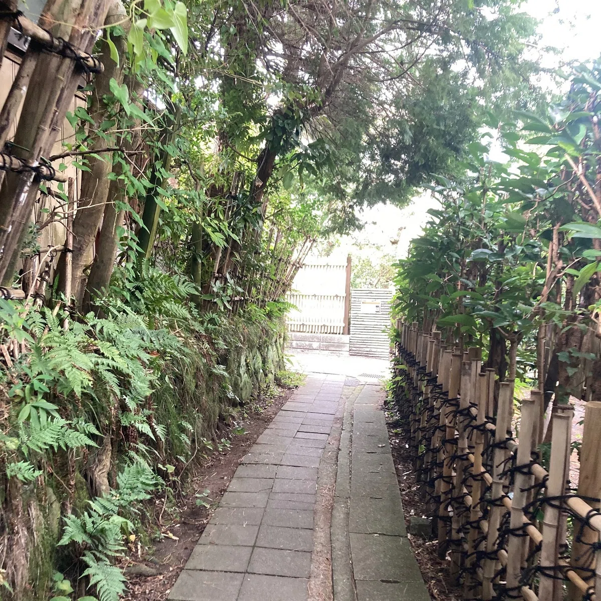 葛原岡神社までの小怪
