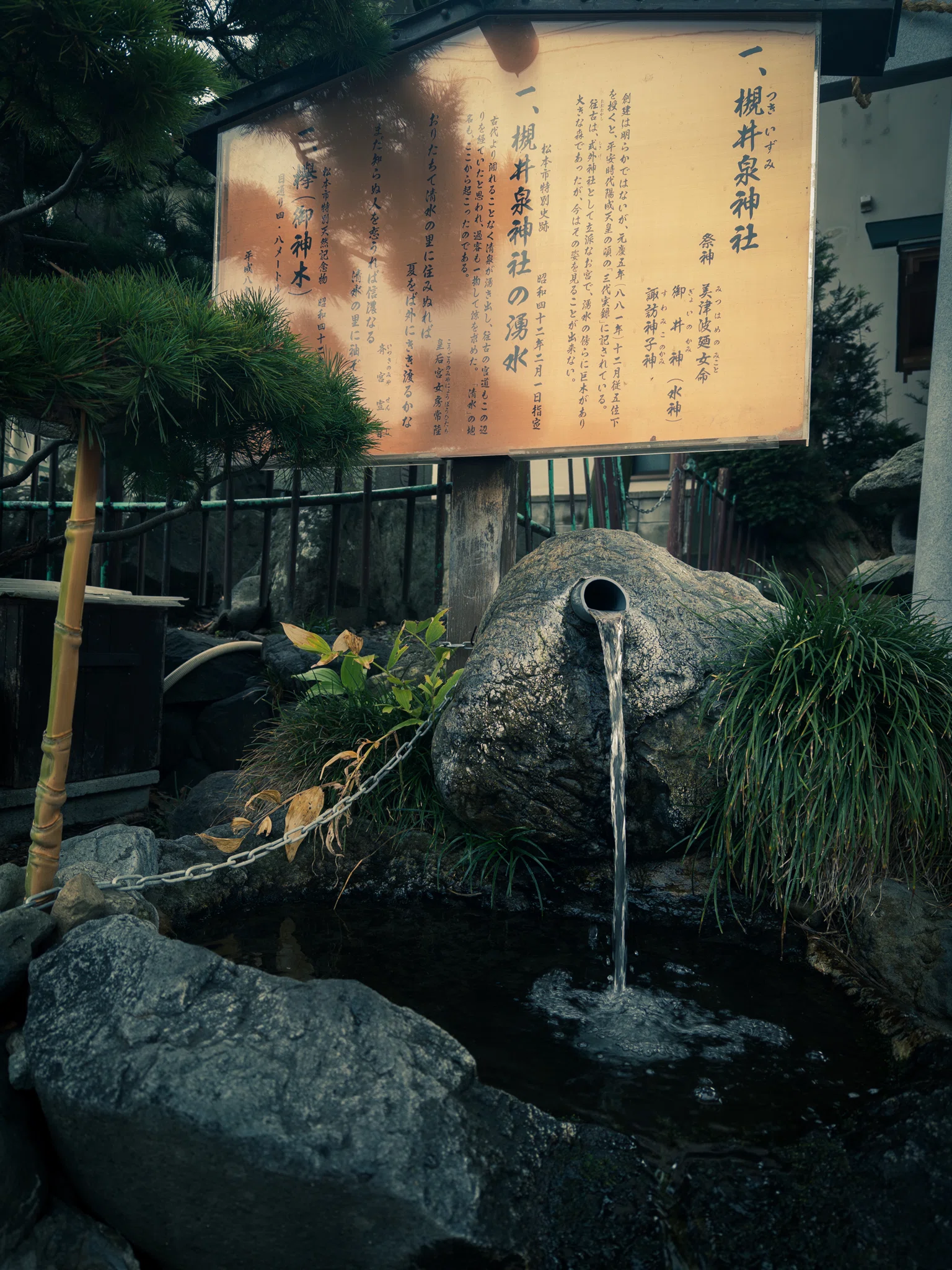 まつもと湧水巡りの朝ランフォト｜Xinn