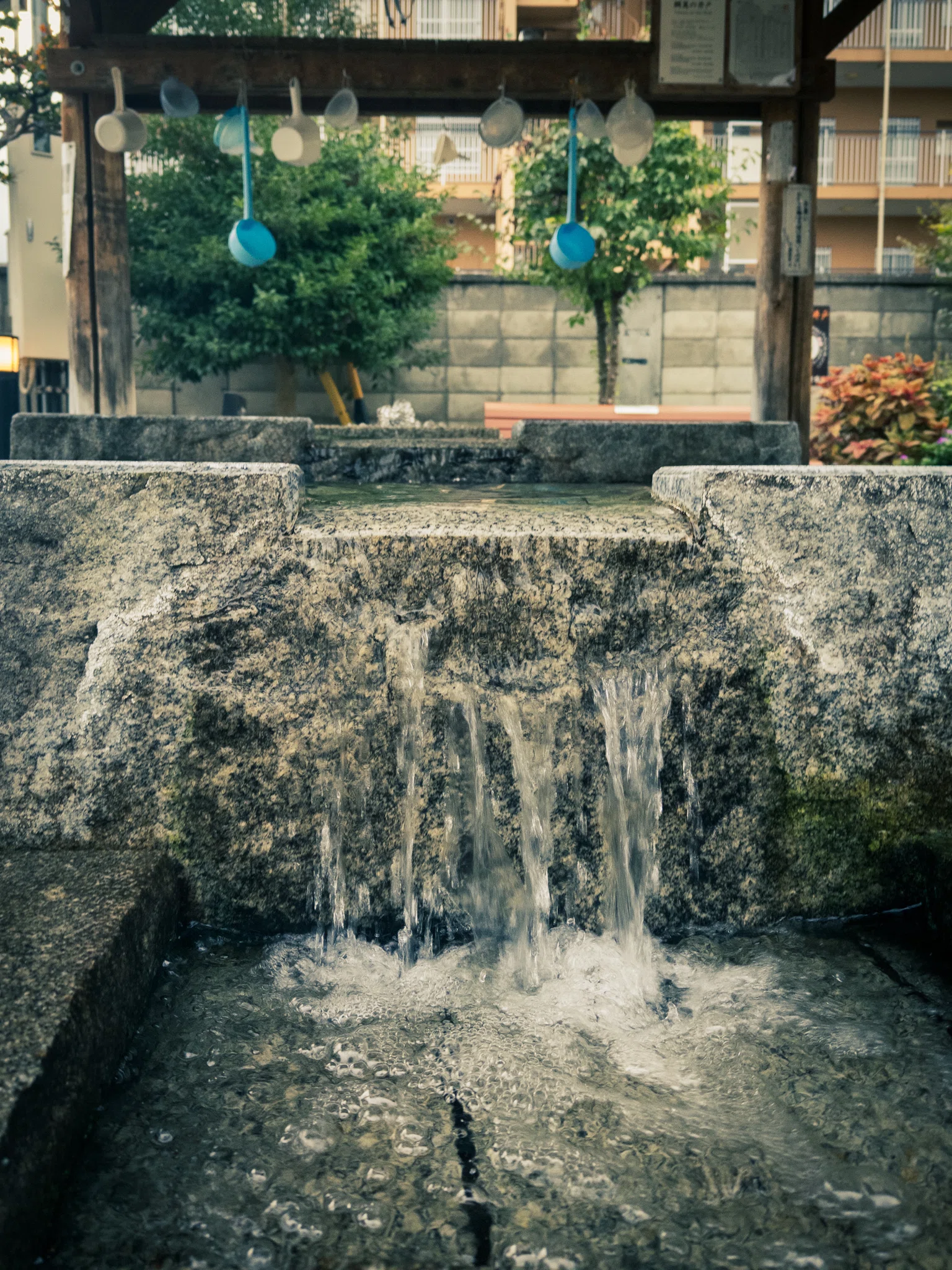 まつもと湧水巡りの朝ランフォト｜Xinn