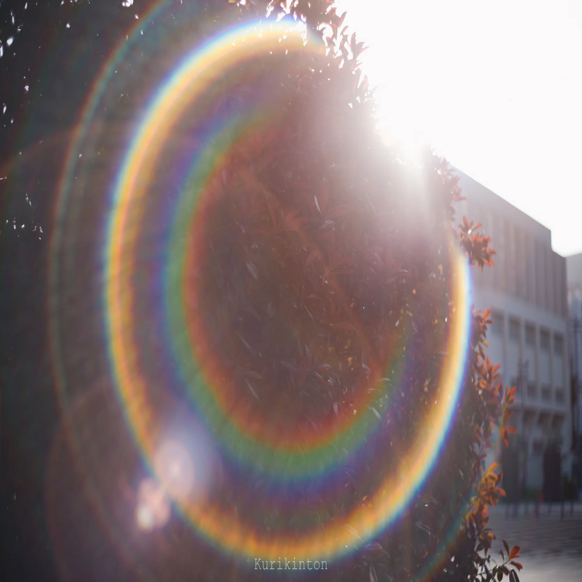 ?虹のフレア祭り?：Super-Takumar 55mm f1.8｜栗きんとん