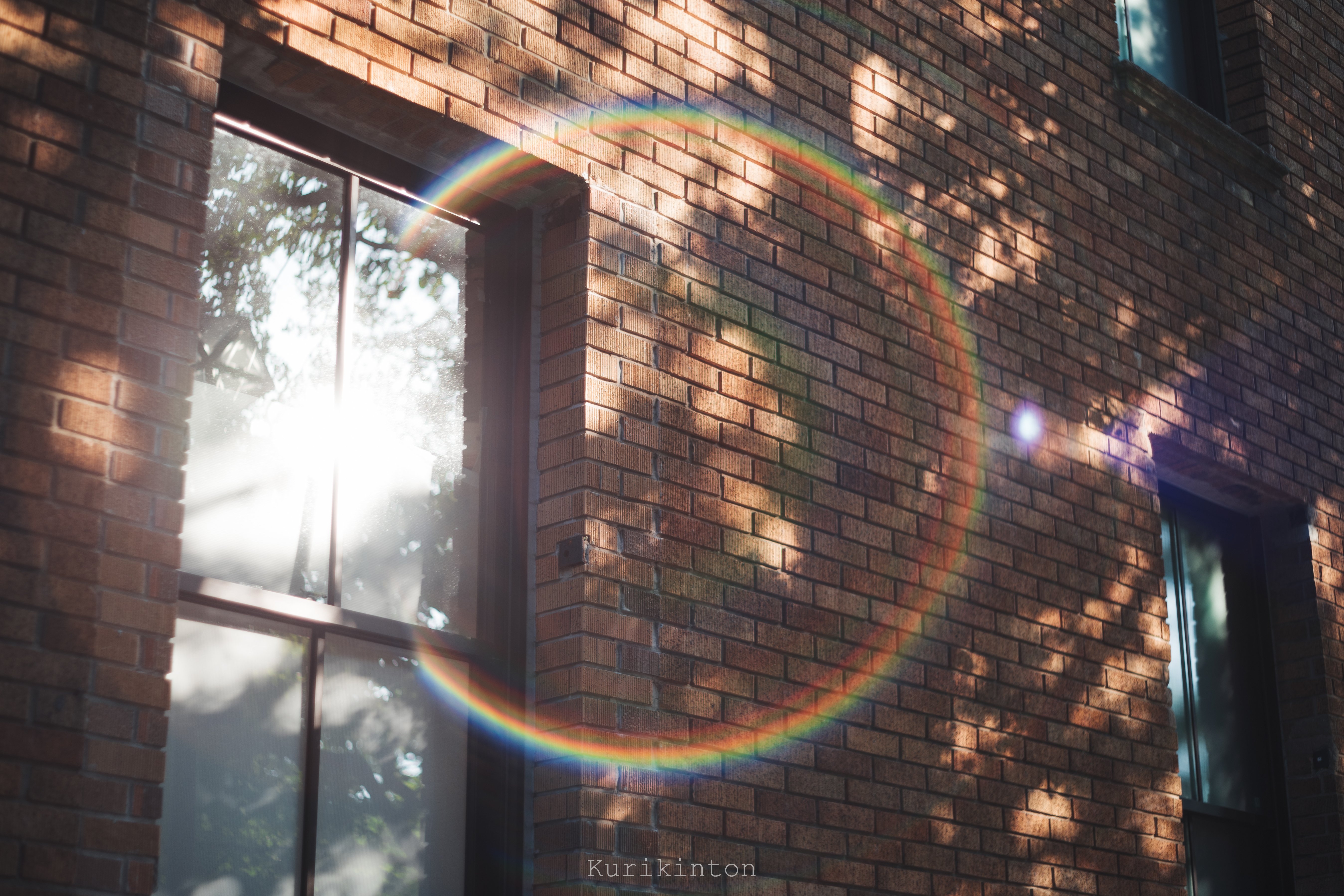 Super Takumar 55mm f1.8 綺麗なフレア 🌈虹のフレア祭り🌈：Super-Takumar 55mm f1.8｜栗きんとん