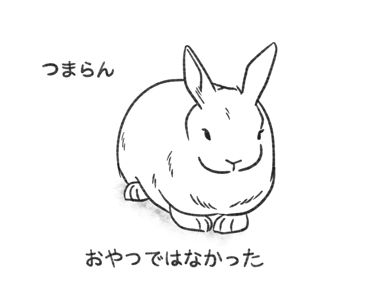 ザクロさま専用！ しろくろさま専用 やかた様オーダー用 ZX｜製品紹介｜