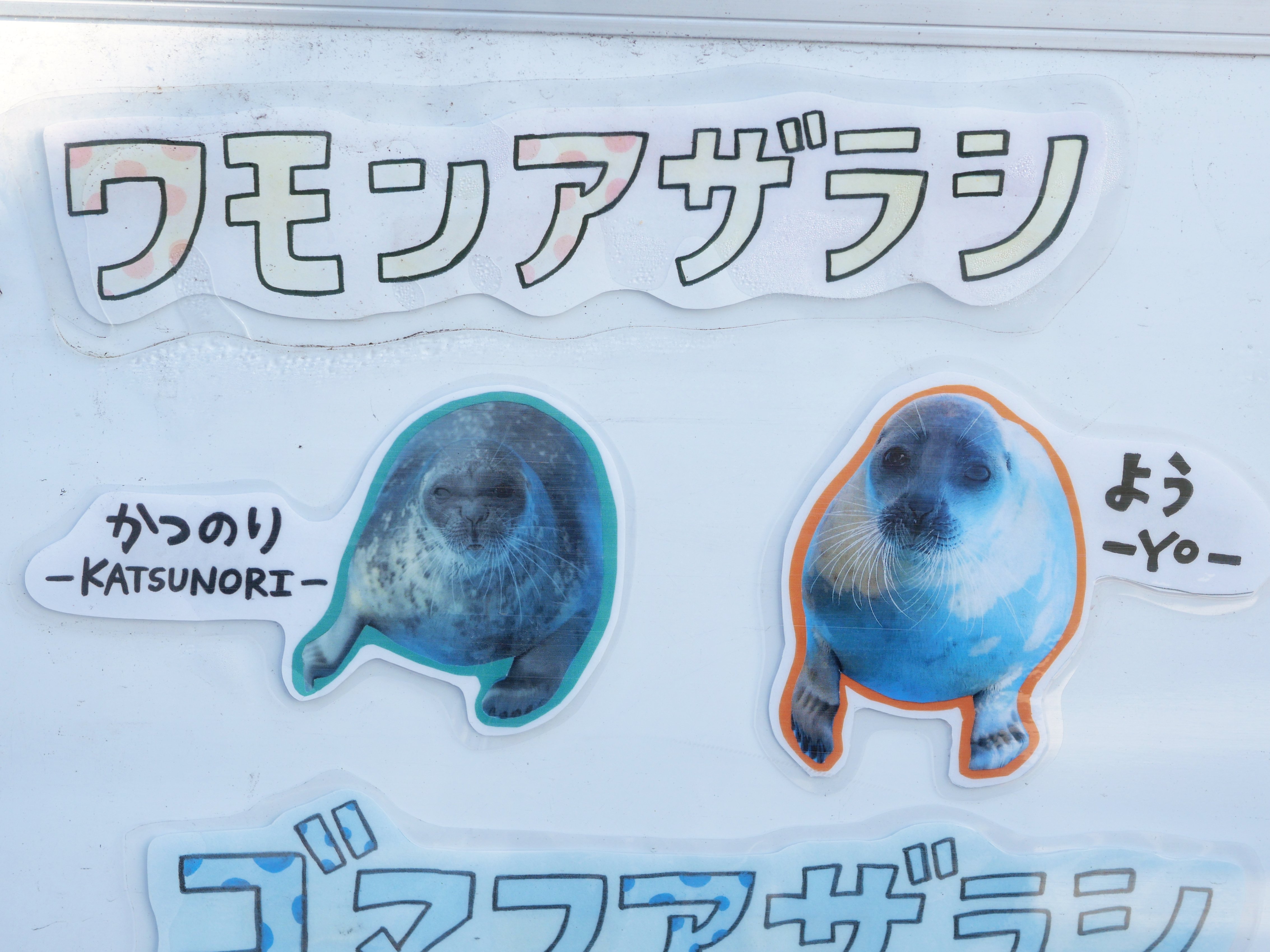 アザラーが紋別に遠征して、憧れの「よう様」に謁見をしました