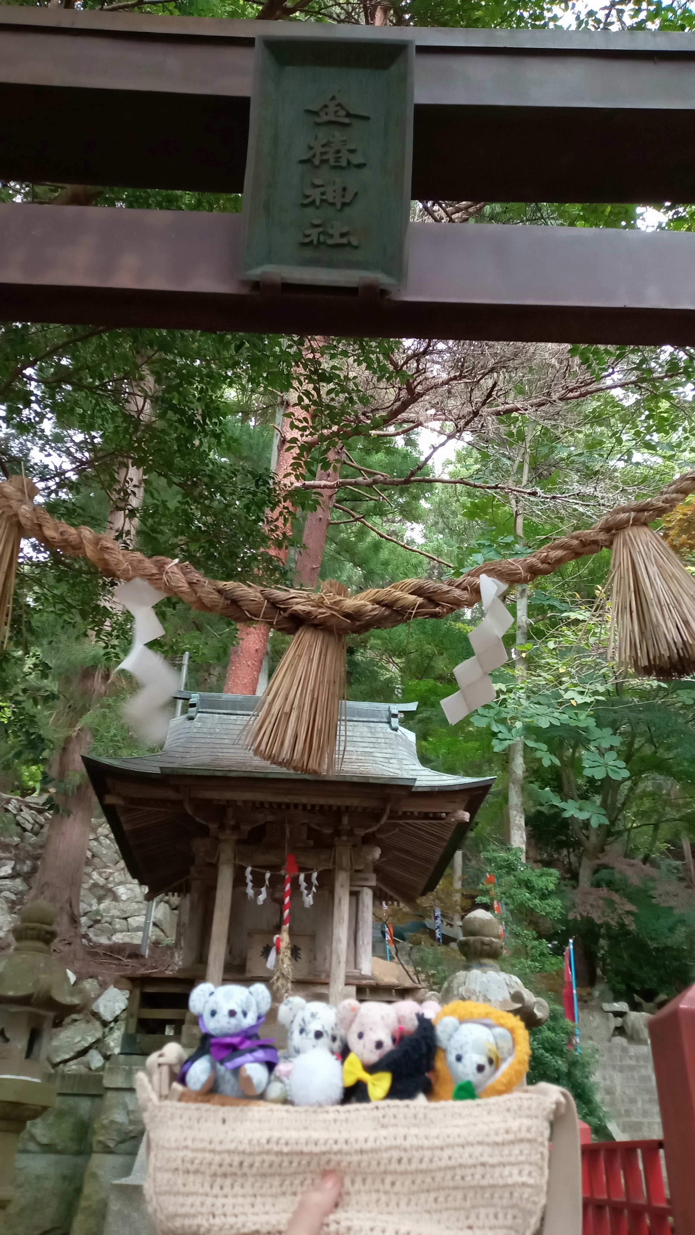 金華山ただしページです☆ おはようございます☀ 《金華山×岐阜城×朝陽》 今日も朝から岐阜