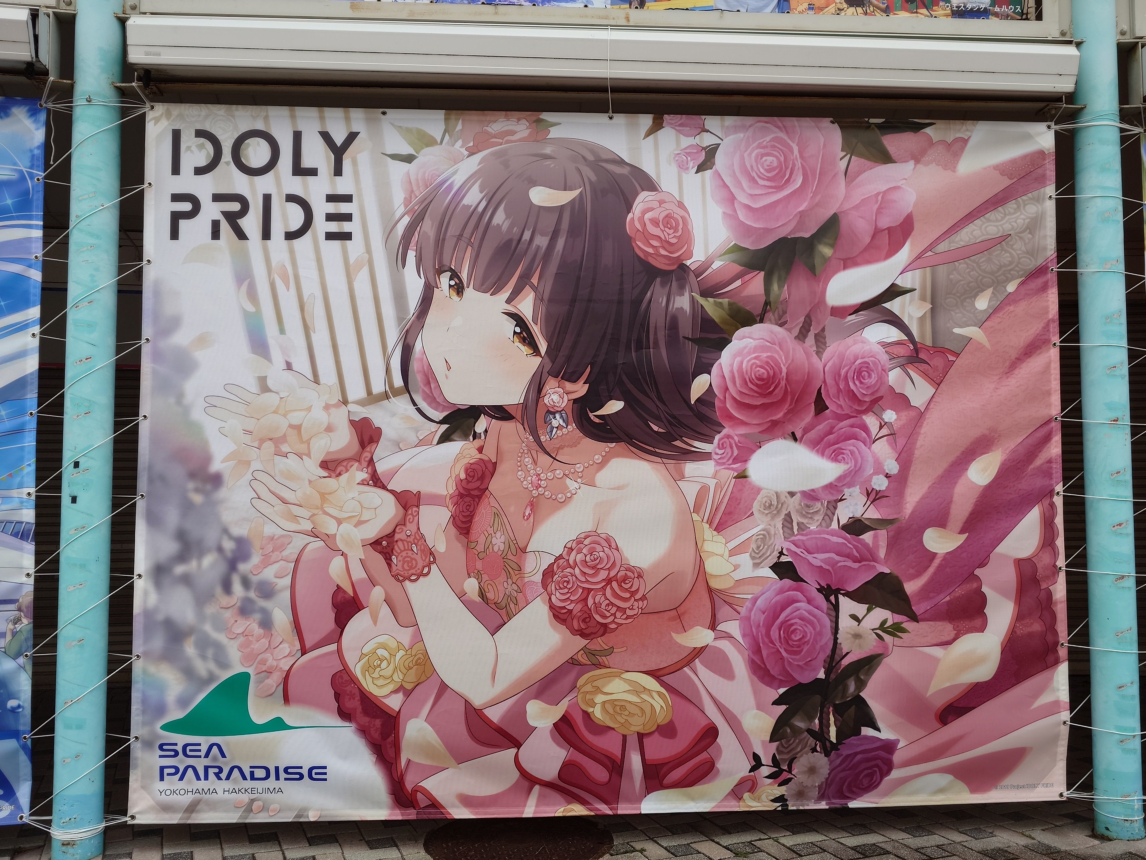 IDOLY PRIDE アイプラ シーパラコラボ 特典セット 色紙 ステッカー等 IDOLY PRIDE アイプラ シール シーパラ ステッカー 天動瑠依
