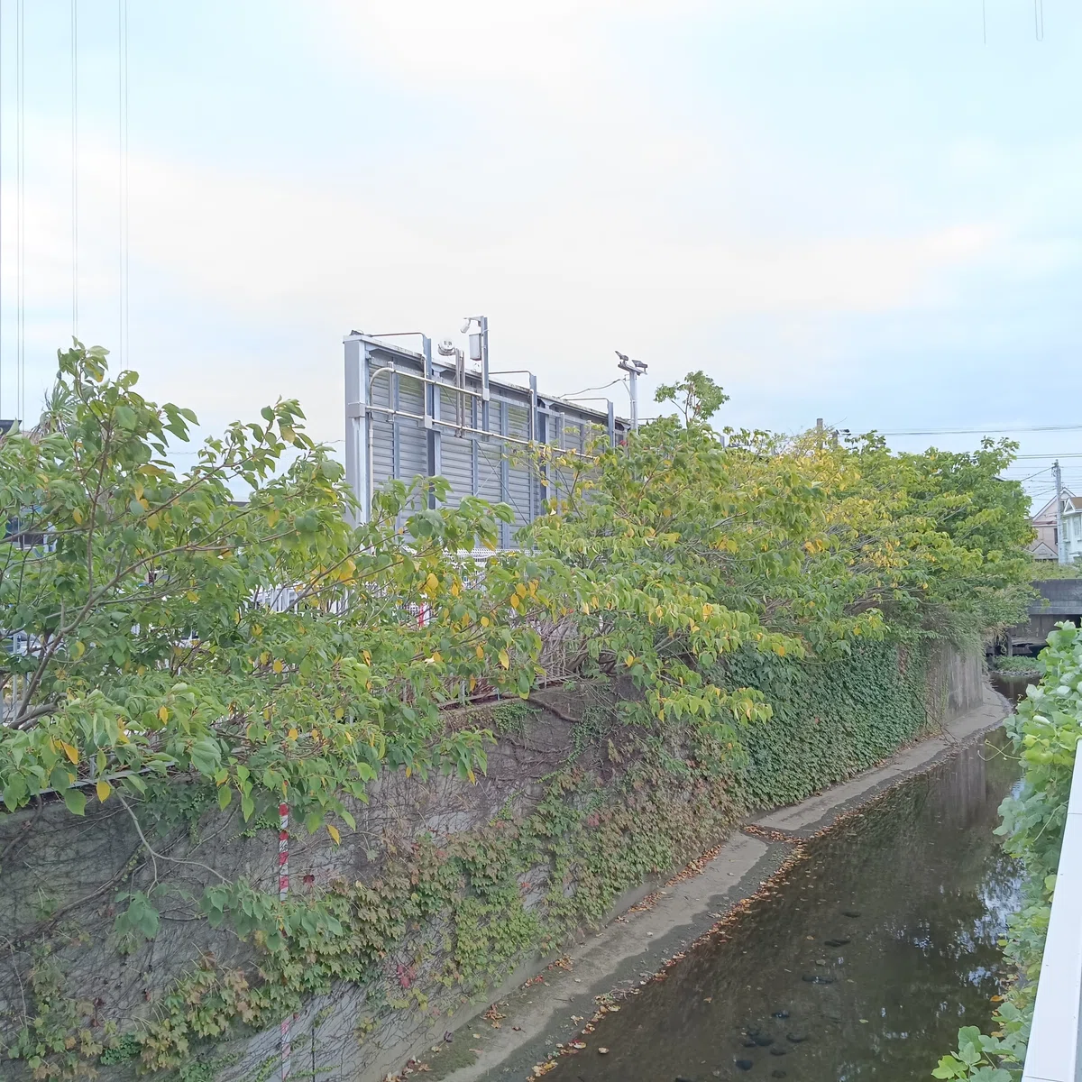 相模(神奈川県)逗子市 久木地域