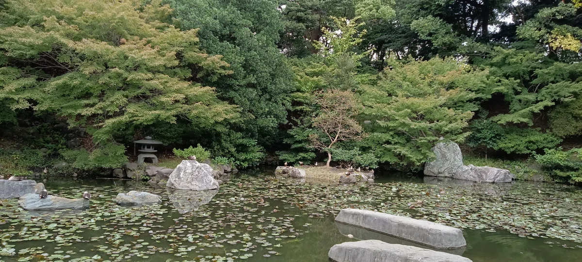 横浜市 西区 老松町