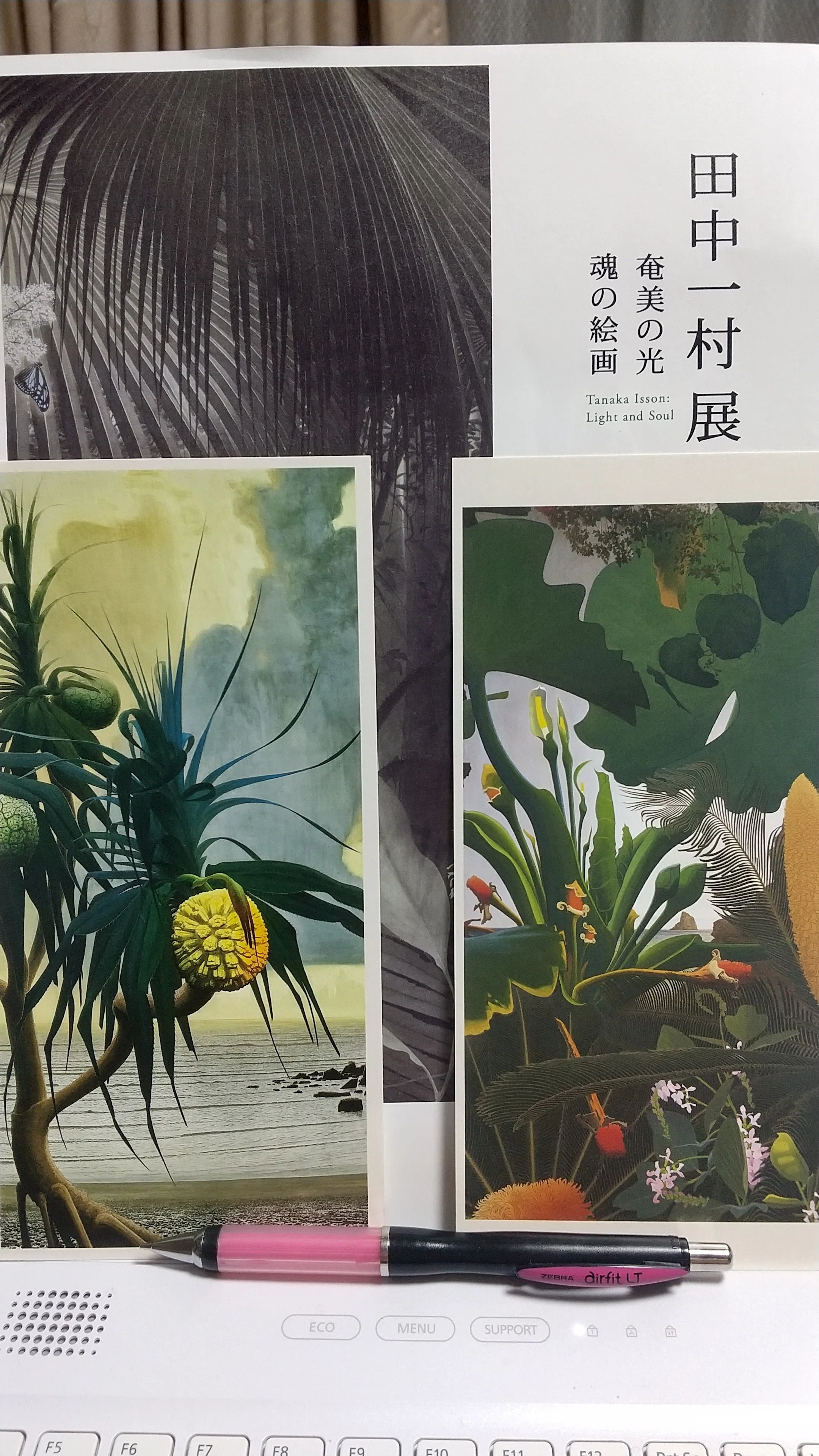 田中一村 (1908~1977) が奄美大島の 紬工場で使用していた手染め用ヘラ 田中一村 (1908~1977) が奄美大島の 紬工場で使用していた手染め用ヘラ