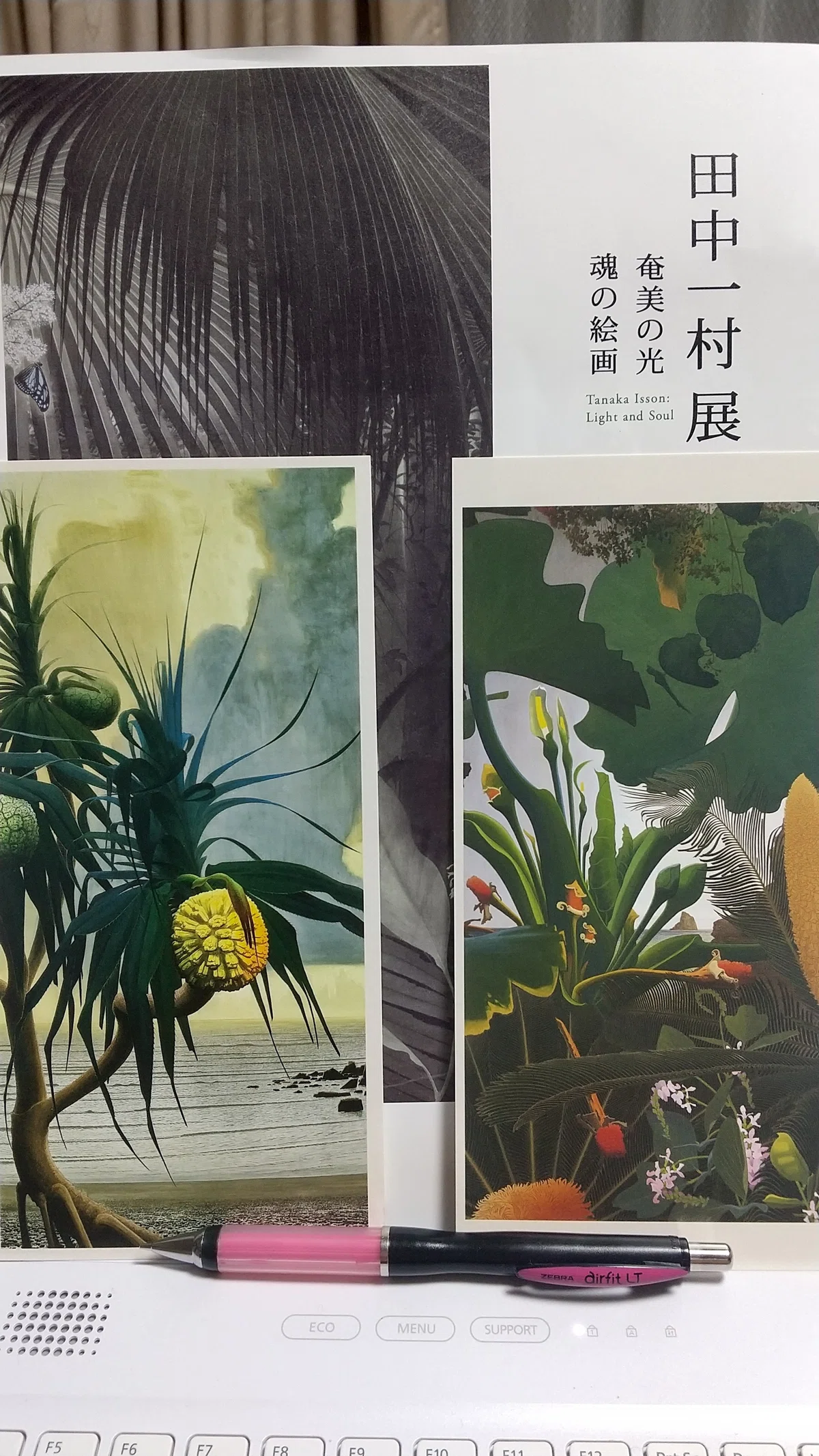 一村は一日にして成らず」～田中一村展@東京都美術館レポート｜ひとみ 