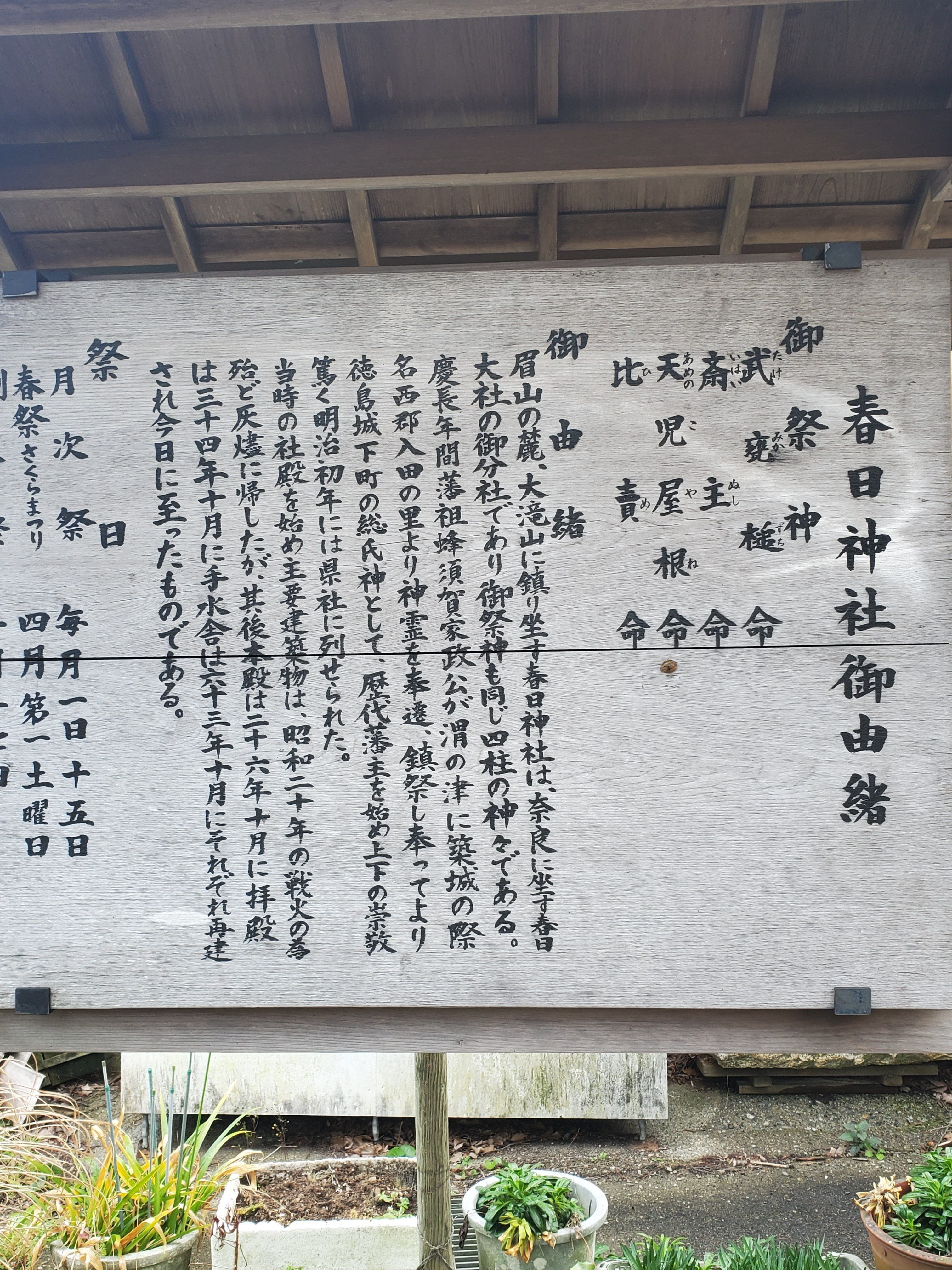 全国一社、延喜式の豊玉姫様をまつる神社に会いに｜Lily♡