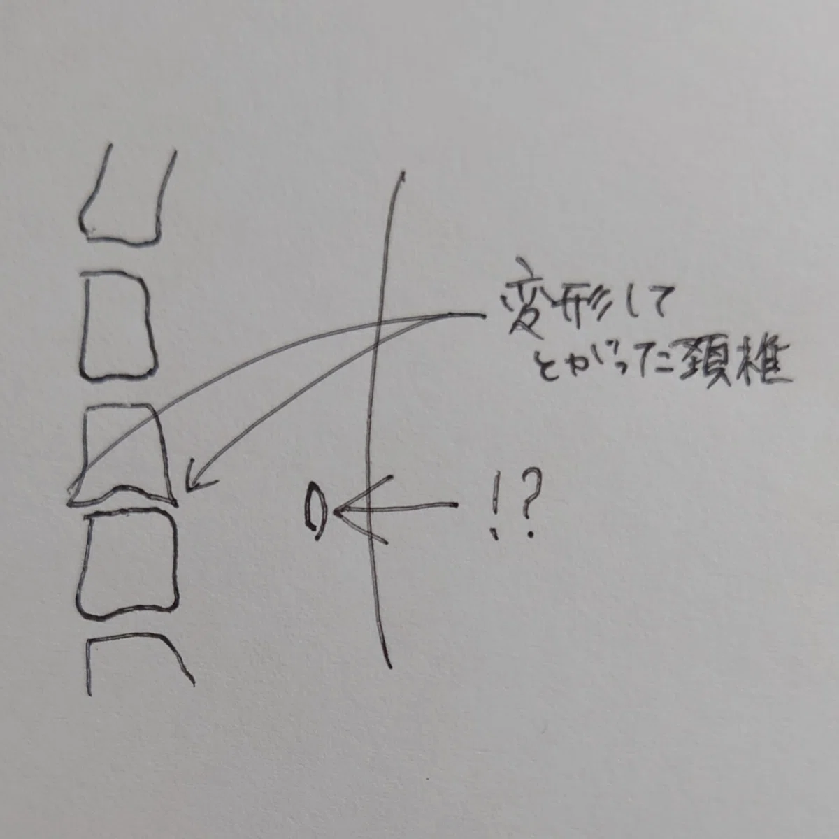 私はかるたが取れない｜読手のひらのさん