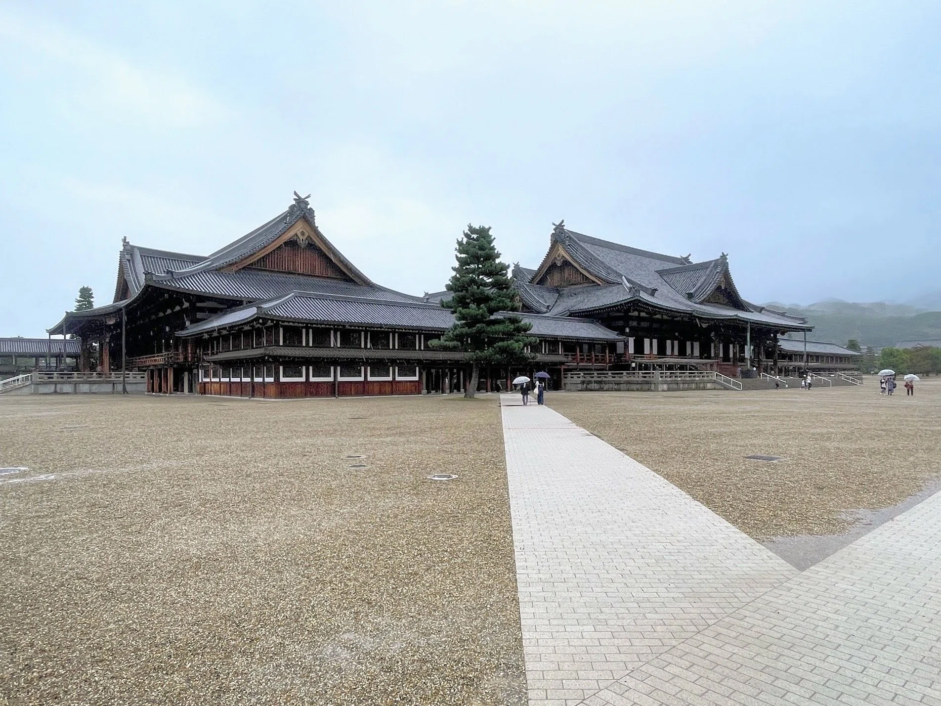 石上神宮の禁足地へ 奈良・天理｜美術館とお寺と猫