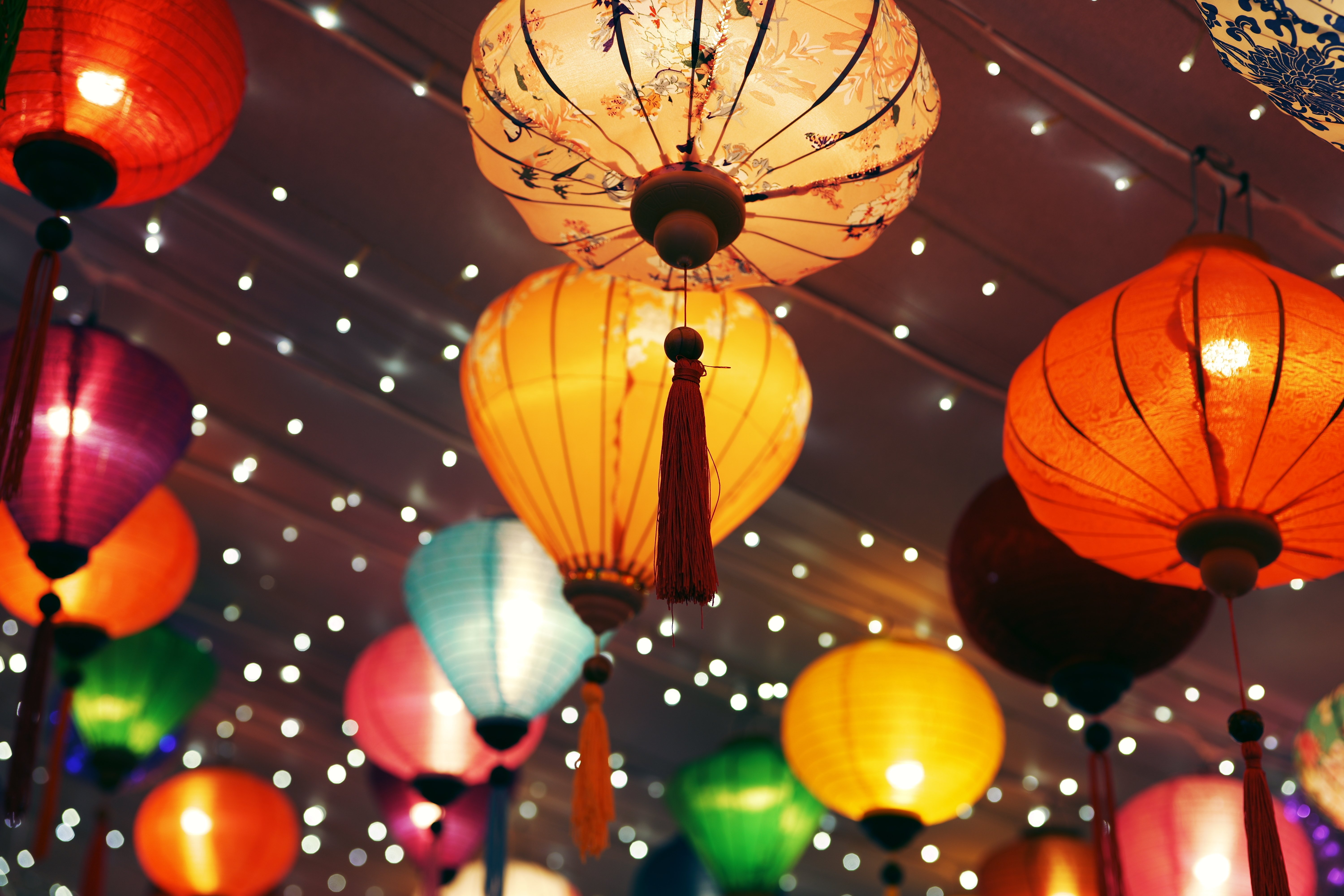 LUMIX S 50mm F1.8【Photo Journey #07】｜LUMIX Lens Letters