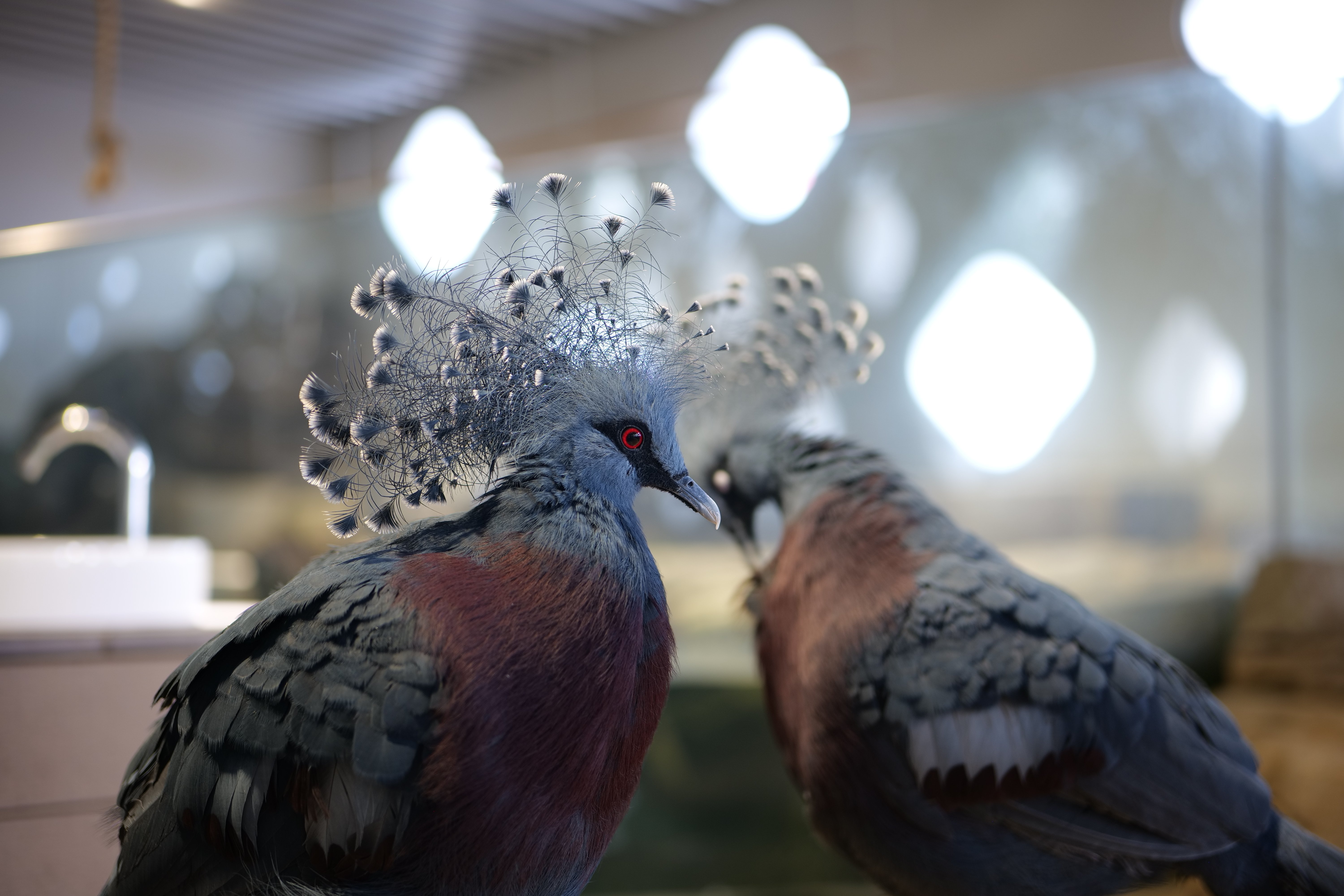 LUMIX S 50mm F1.8【Photo Journey #07】｜LUMIX Lens Letters