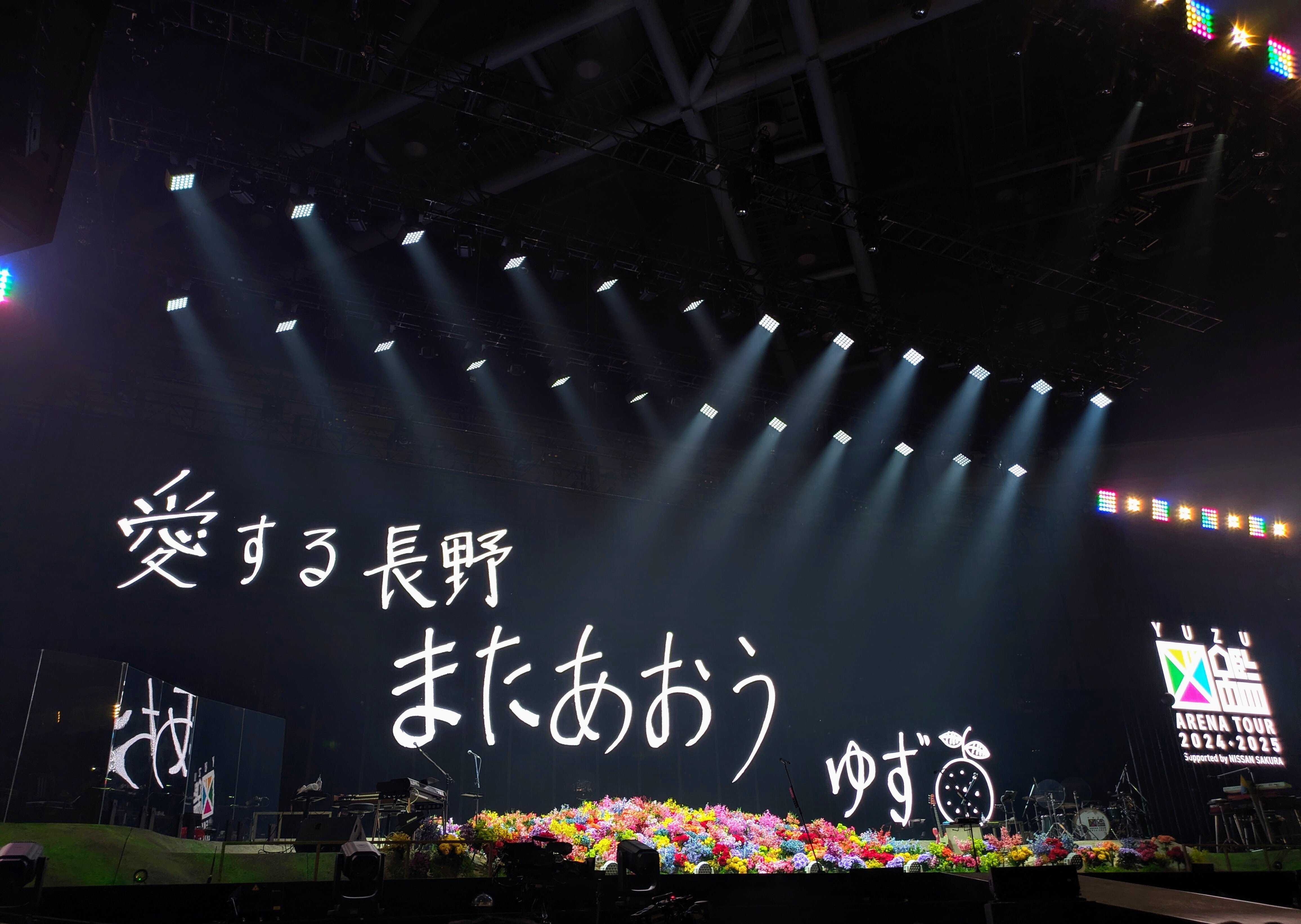 ゆず 図鑑ペナントキーホルダー ご当地 長野ビッグハット 限定 ゆず 図鑑ペナントキーホルダー ご当地 長野ビッグハット 限定 ゆず