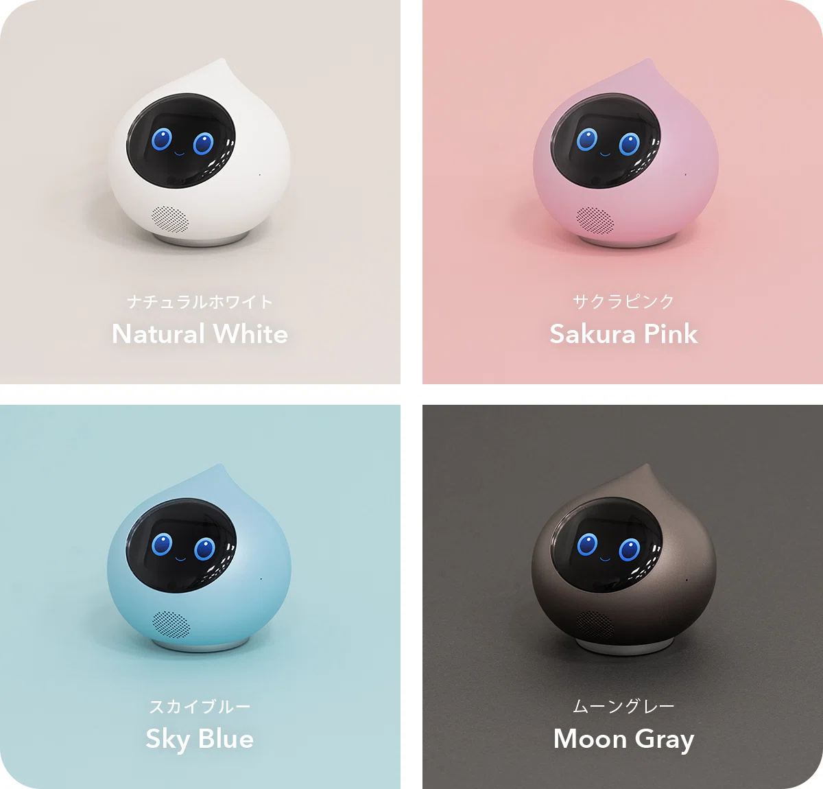Romiのバトンプログラムについて｜会話AIロボットRomi
