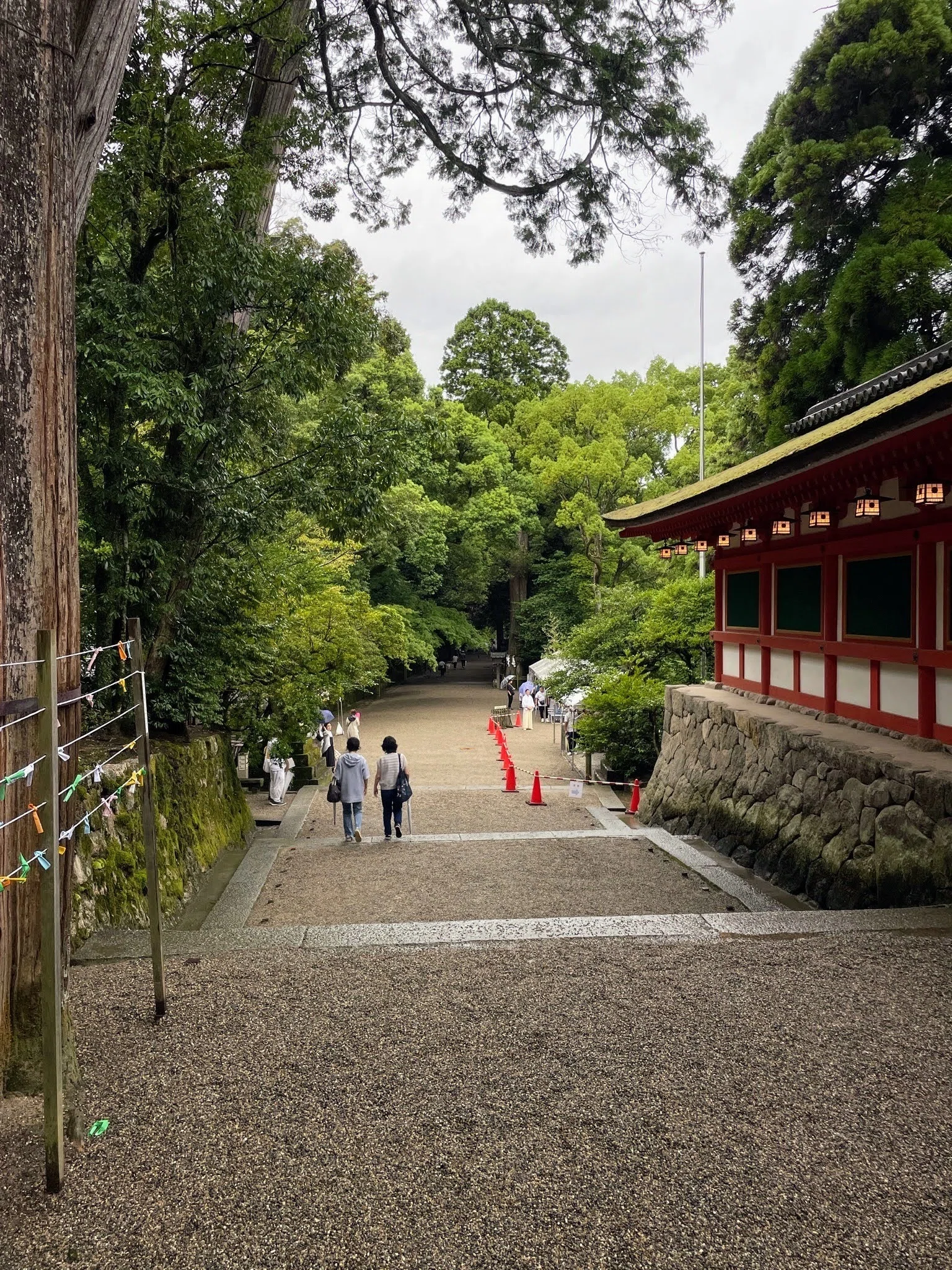 石上神宮の禁足地へ 奈良・天理｜美術館とお寺と猫