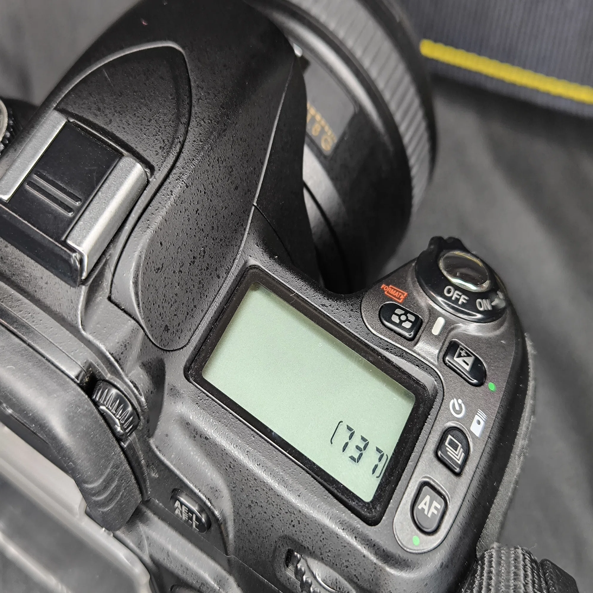愛機D80は貴重なCCDセンサー搭載のじゃじゃ馬モデルなの｜Tarciel