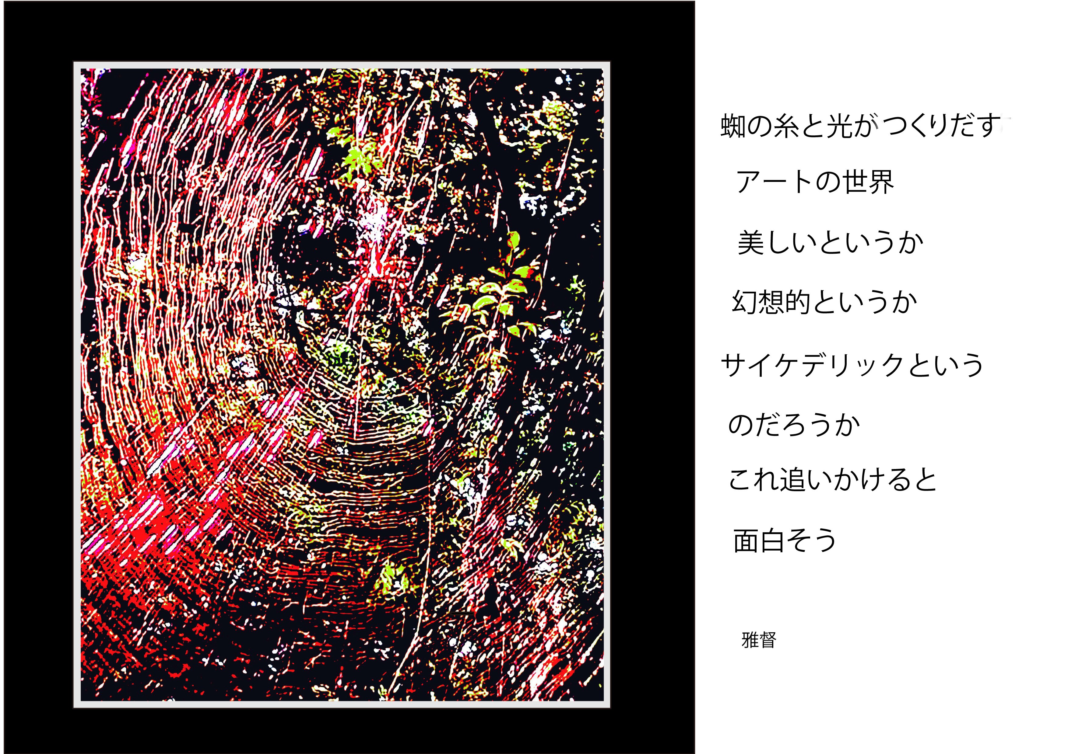 スマホカメラを愉しむ 蜘蛛の巣と光がつくり出すアートの世界｜gatokukubo