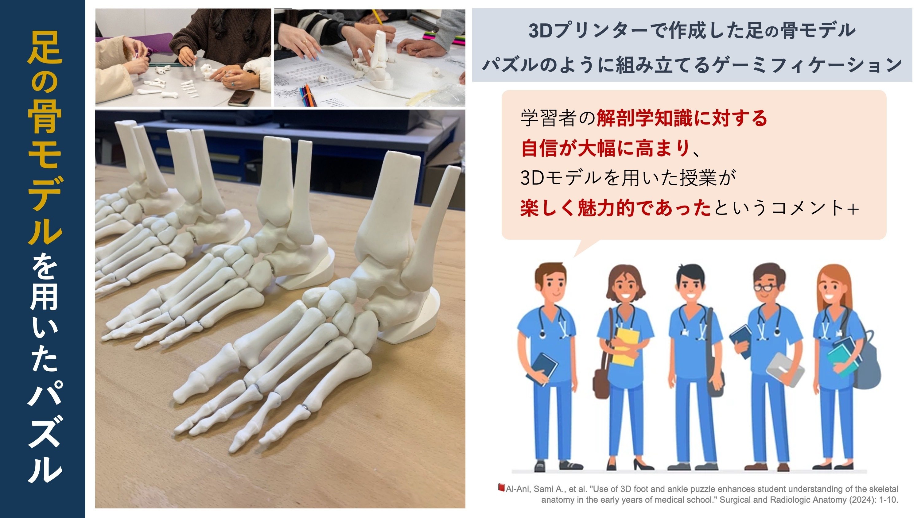 解剖学的スカルモデル1：1学校の発表ツールのための医学と教育のための現実的な3Dモデル3D特殊プラスチック （Amazon.co.jp:  双頭人間の骨格解剖モデルベビースカルスクリーン研究解剖医療訓練学校教育ツール : 産業・研究開発用品）