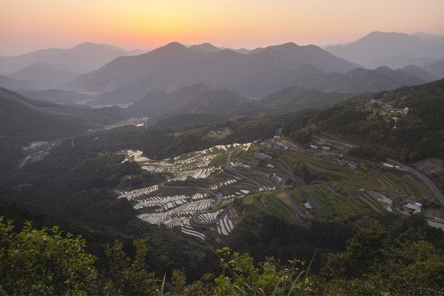 丸山千枚田