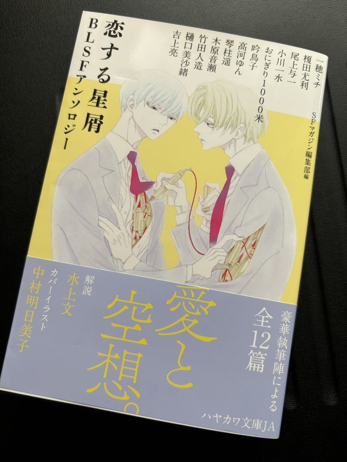 高河ゆん　公認FC会報・会誌他 高河ゆん 公認ファンクラブ 会報誌 全24冊