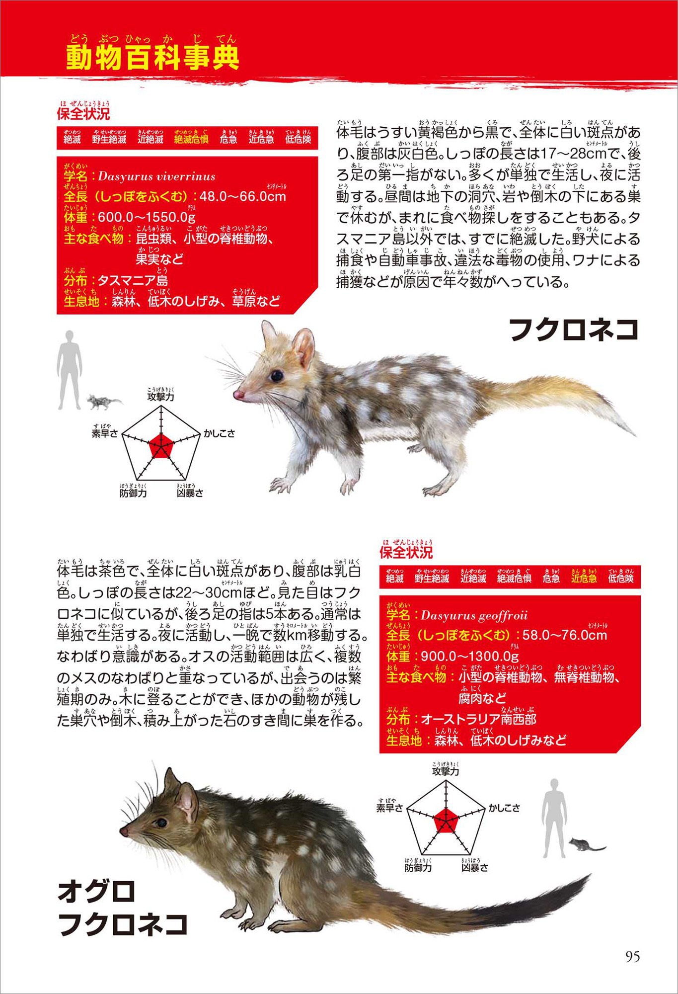 まさかのサーベルタイガーが登場し、大混乱のバトルロイヤルが開幕