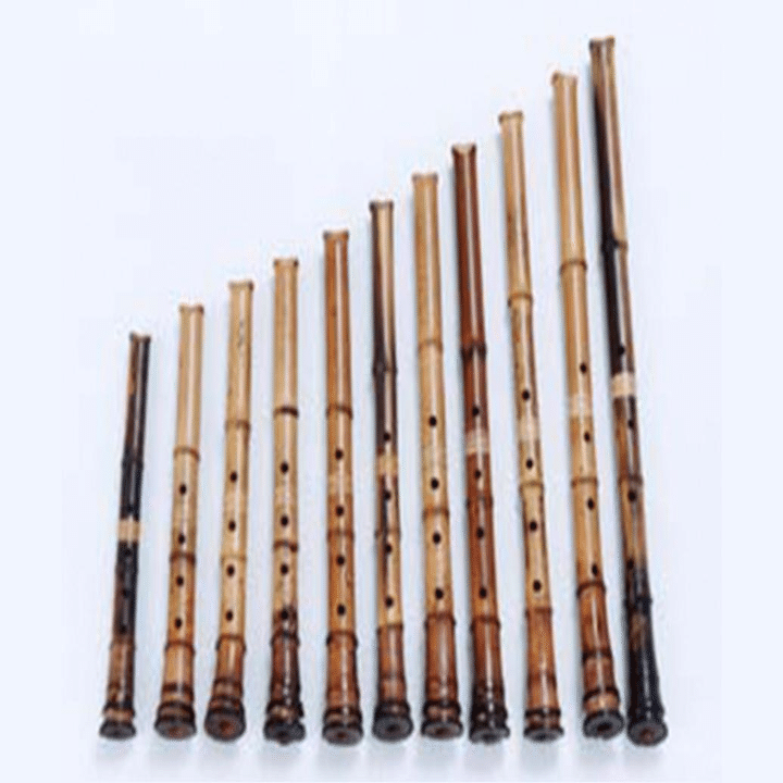 20代の若者が語る「和楽器」の魅力｜NOBU