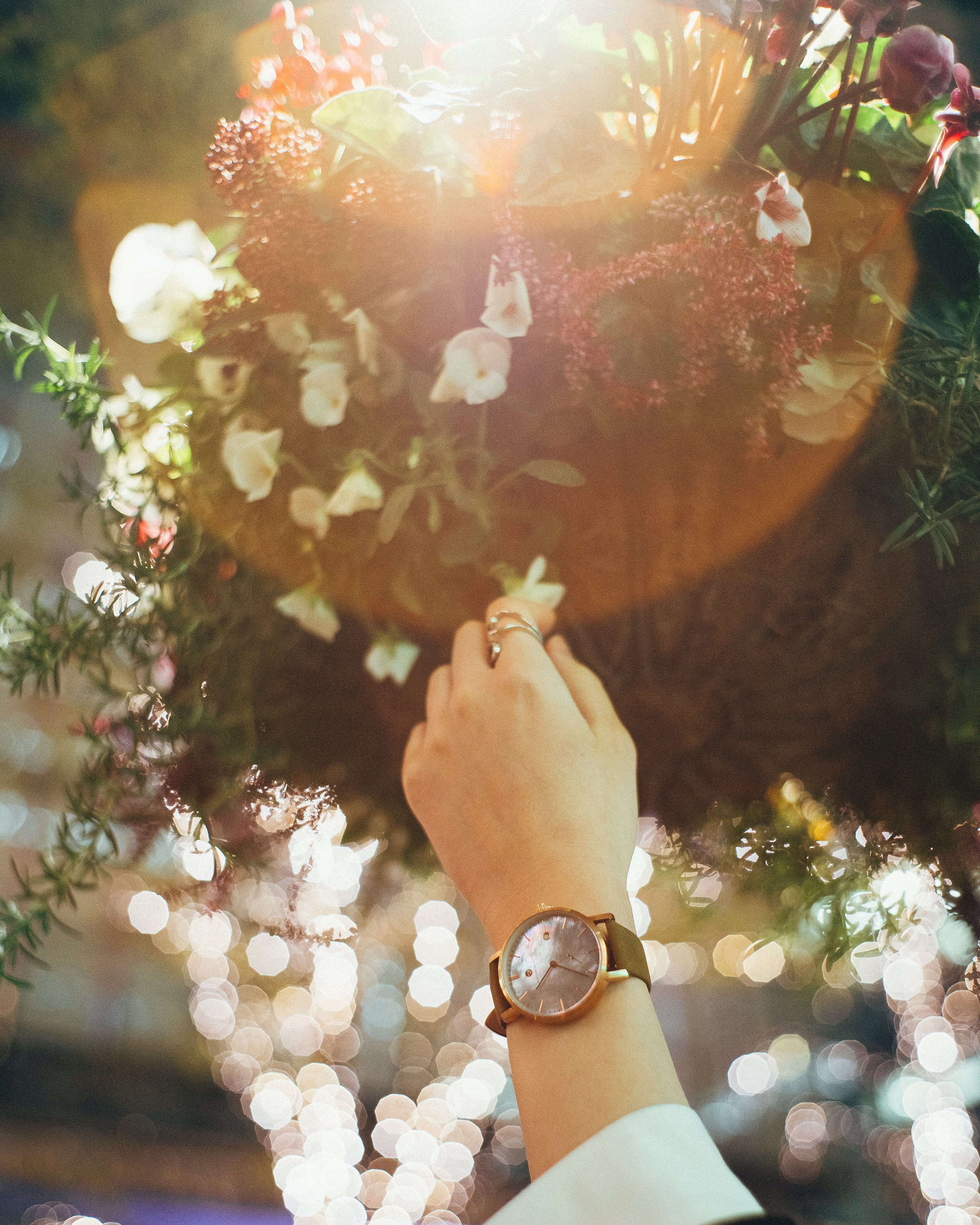 4 Silent Birdsの時計が生まれた裏話｜4 Silent Birds