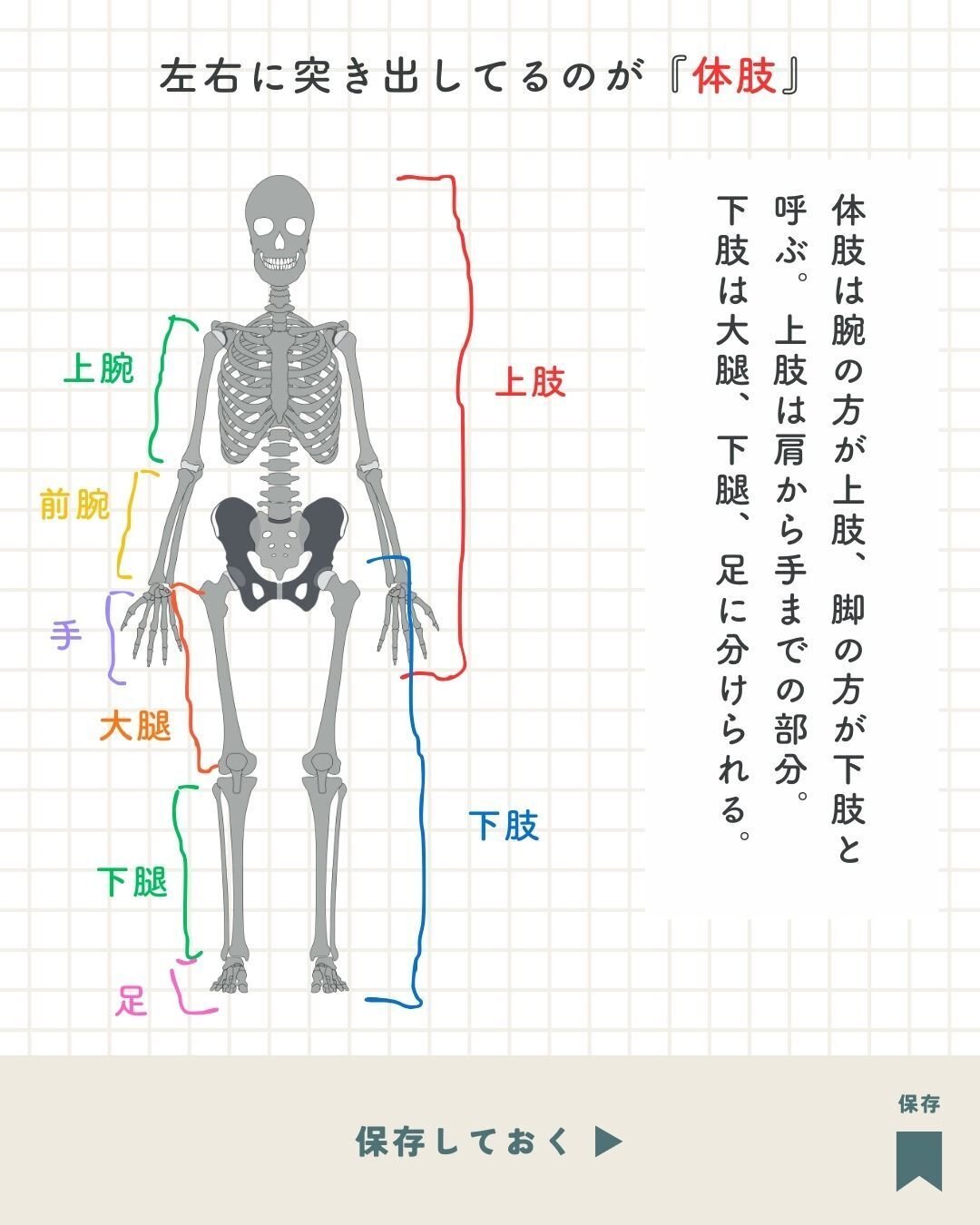下肢からみる身体の機能構造〈2〉原口力也 ×ケンヤマモト 下肢からみる身体の機能構造〈2〉 下肢からみる身体の機能構造〈2〉