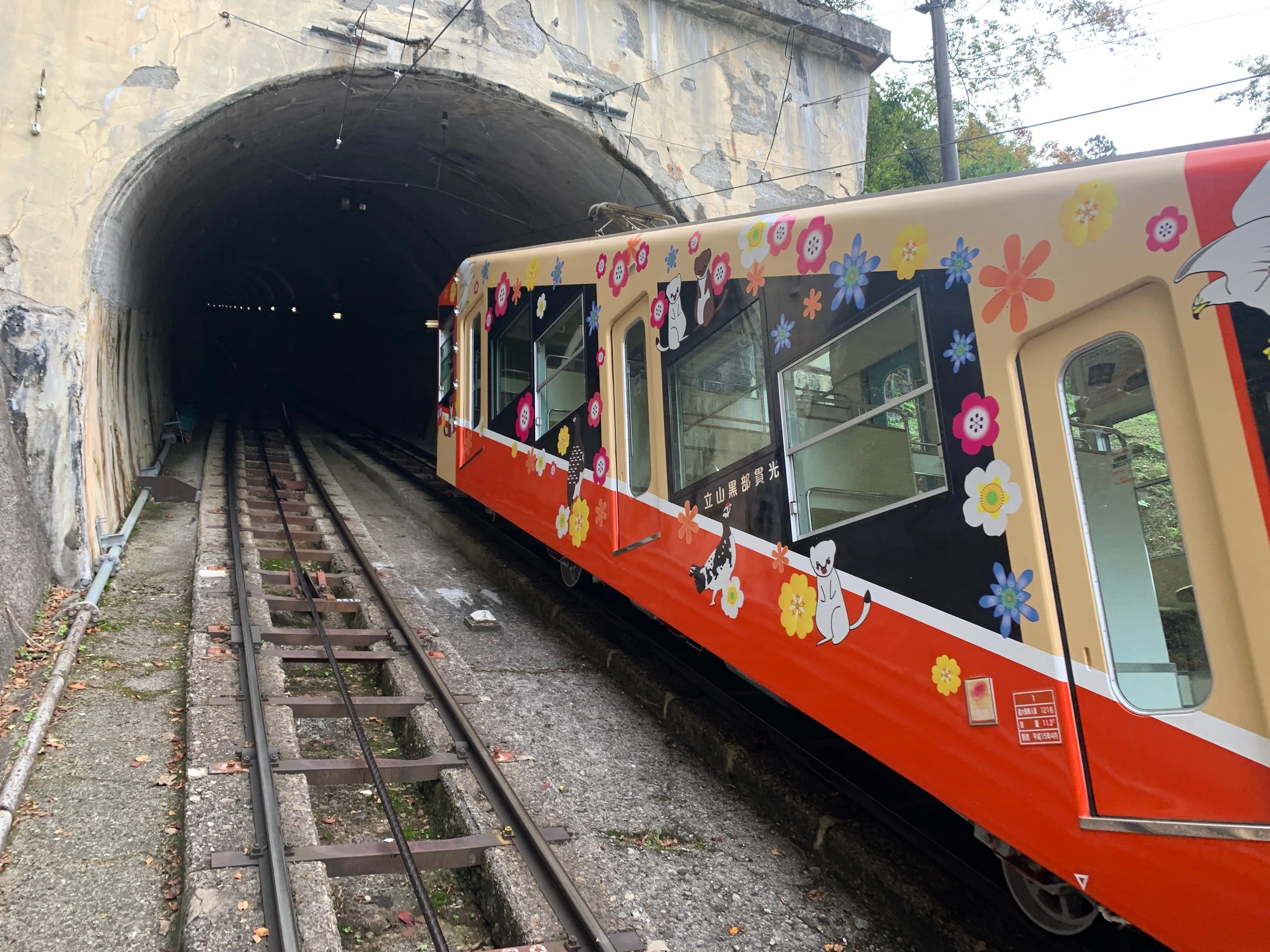 廃止前のトロリーバスに乗車｜綿貫渉