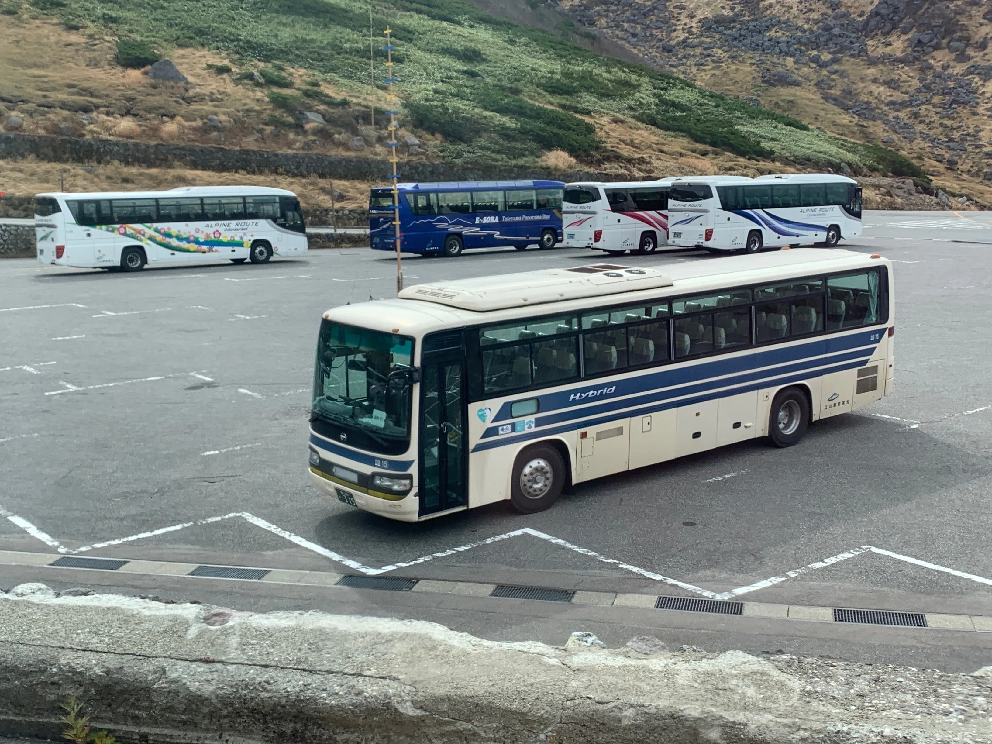 廃止前のトロリーバスに乗車｜綿貫渉