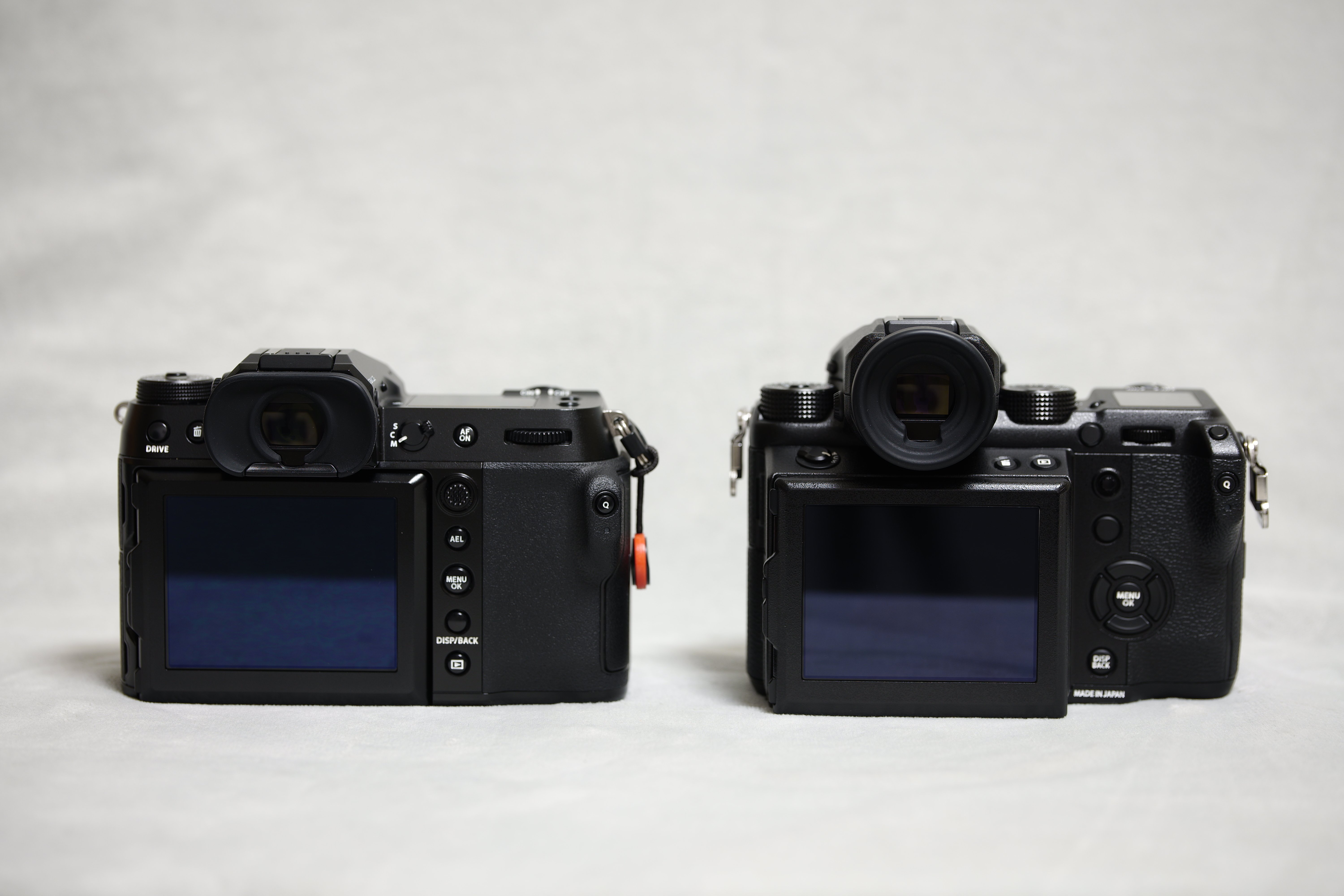 比較レビュー】GFX50SとGFX100Sを両方使って思ったこと｜プラナリア