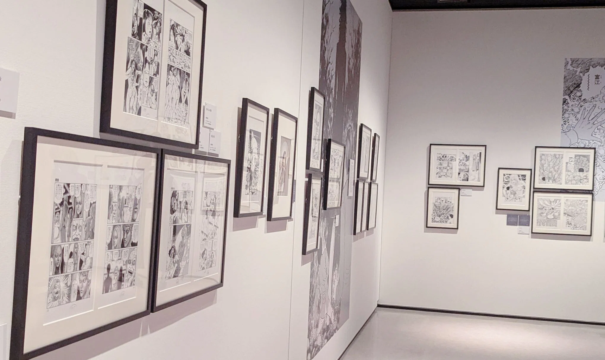 2024年10月23日周三伊藤润二展｜Arika
