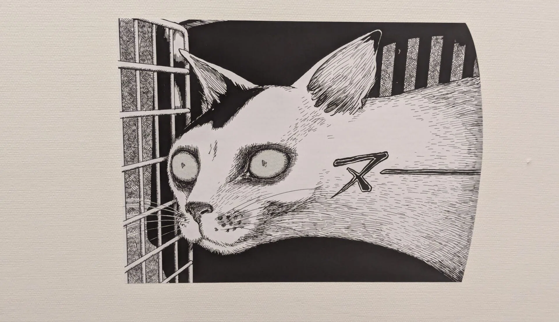 2024年10月23日周三伊藤润二展｜Arika