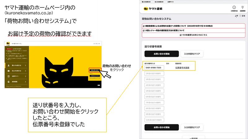 Is that 'Package Delivery' email real? I tried searching the